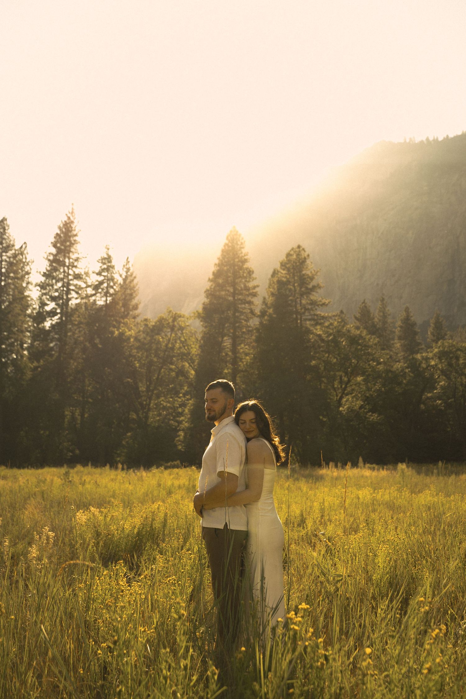 Couple embracing in golden meadow at sunset with misty mountains and tall pine trees in background.