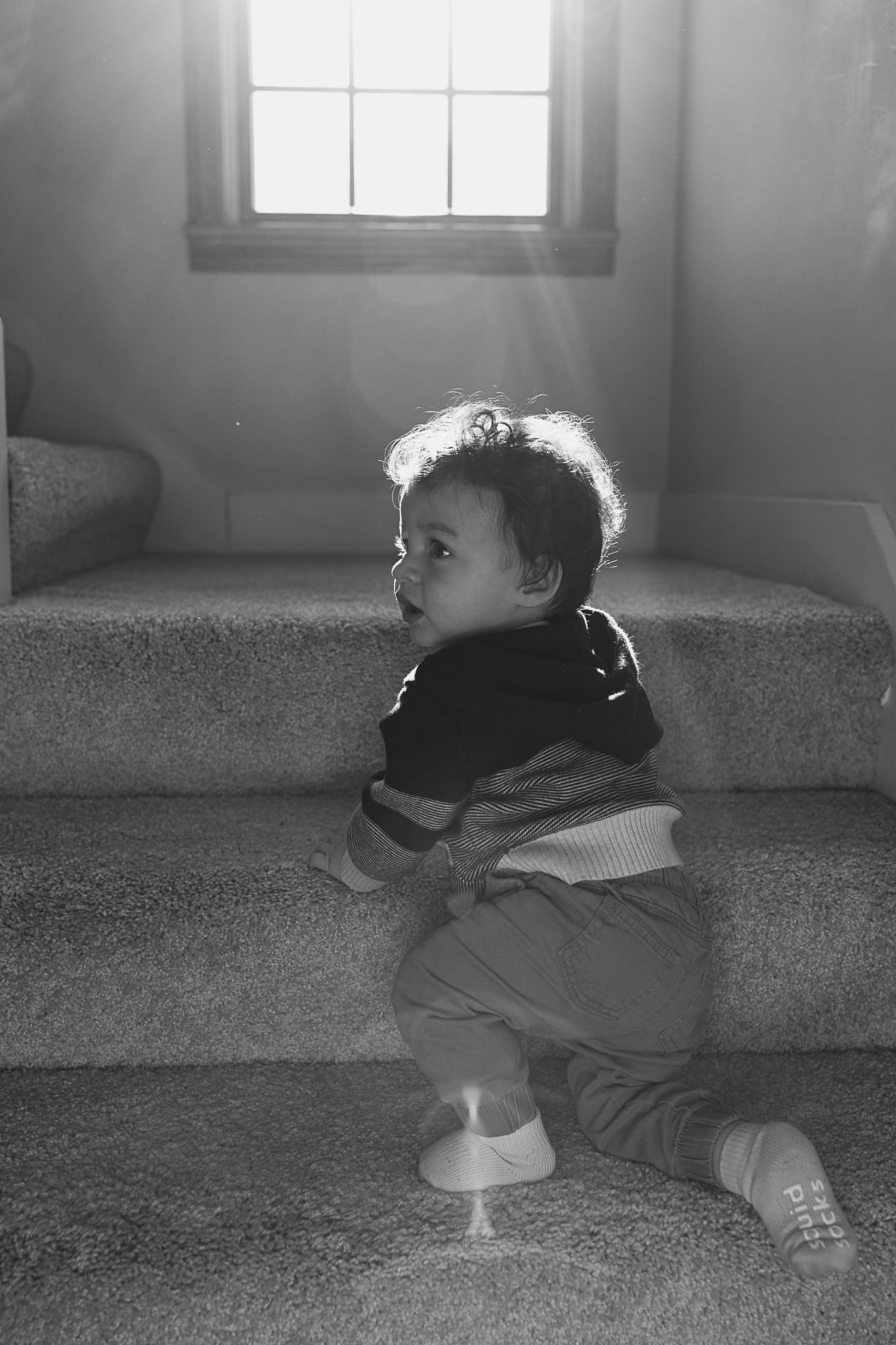 Black and white photo of a baby sitting on carpeted stairs with sunlight streaming through a window above.