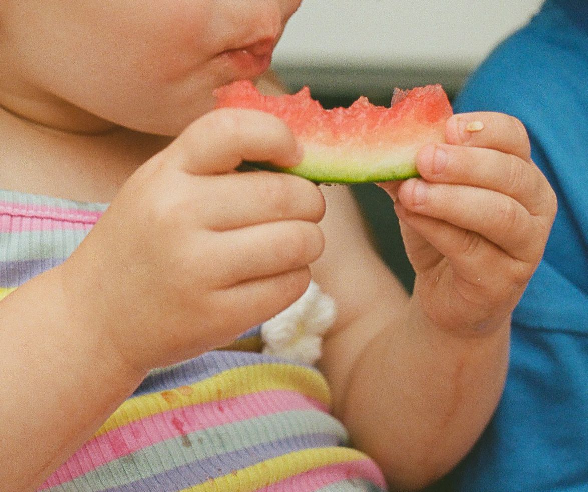 Close-up of toddler eating fresh watermelon slice with both hands.