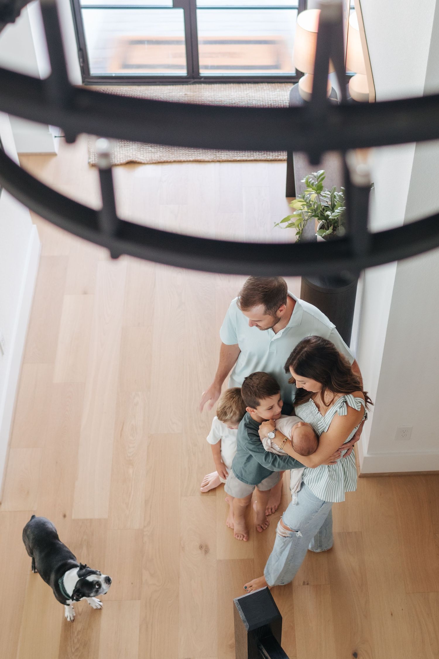 Overhead view of a happy family with two kids and a Boston Terrier dog gathered together on hardwood floors.