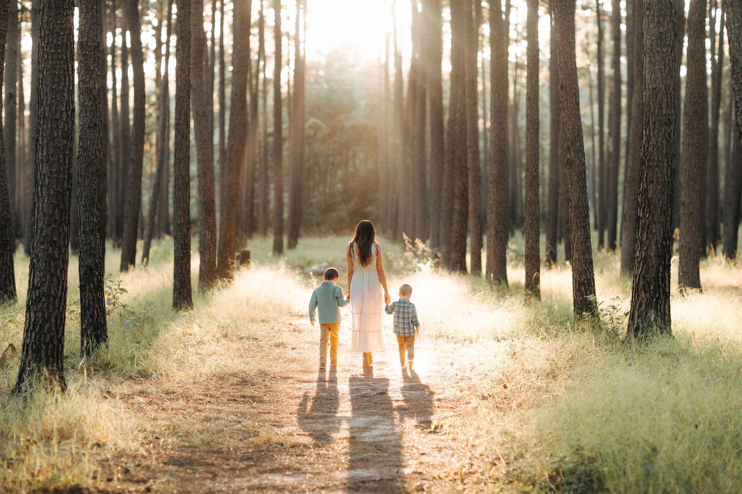 Mother walking with two children on a sunlit forest path surrounded by tall pine trees at golden hour.