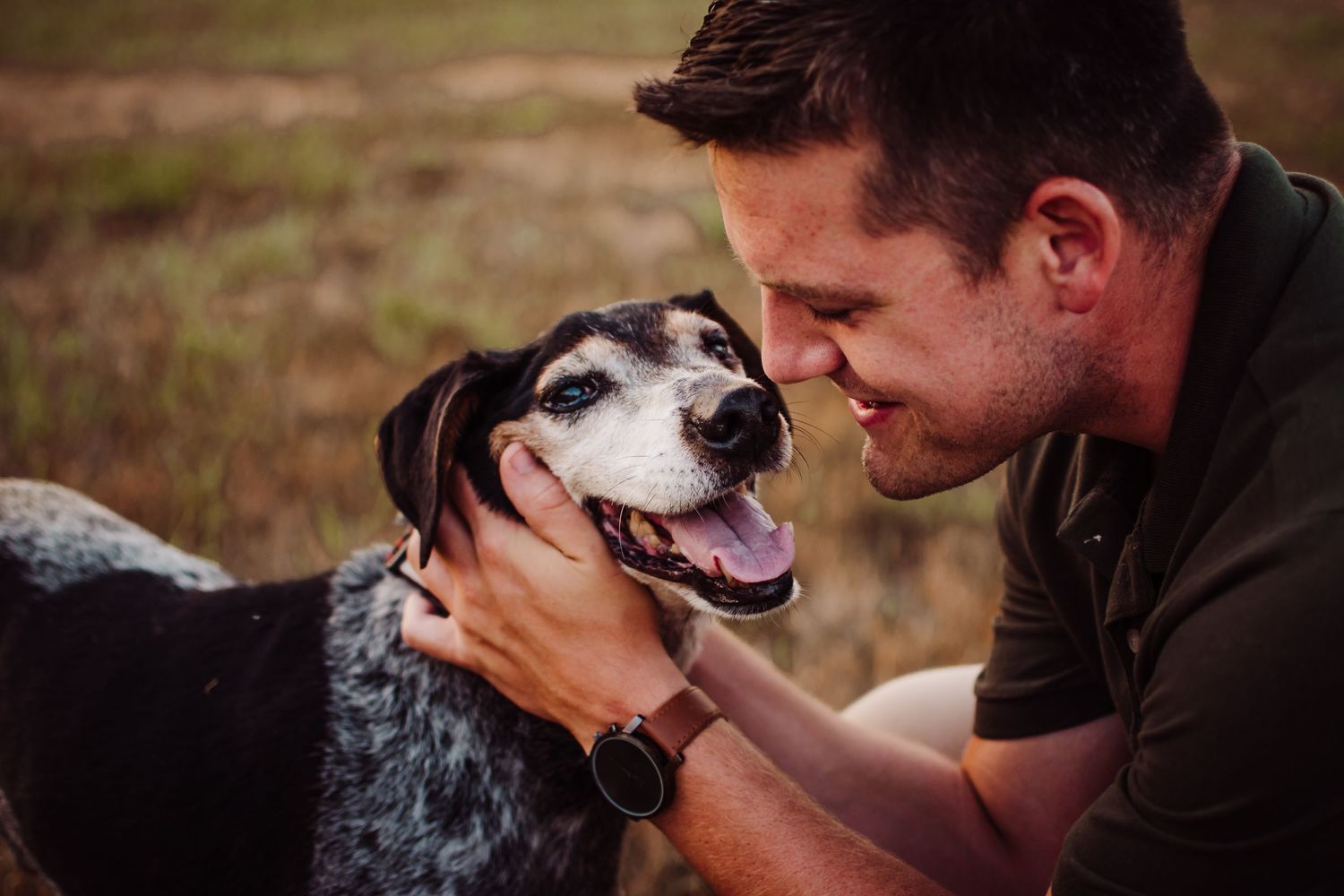 End of life dog photography joins with a hospice veterinarian in collaboration in Winchester Virginia area
