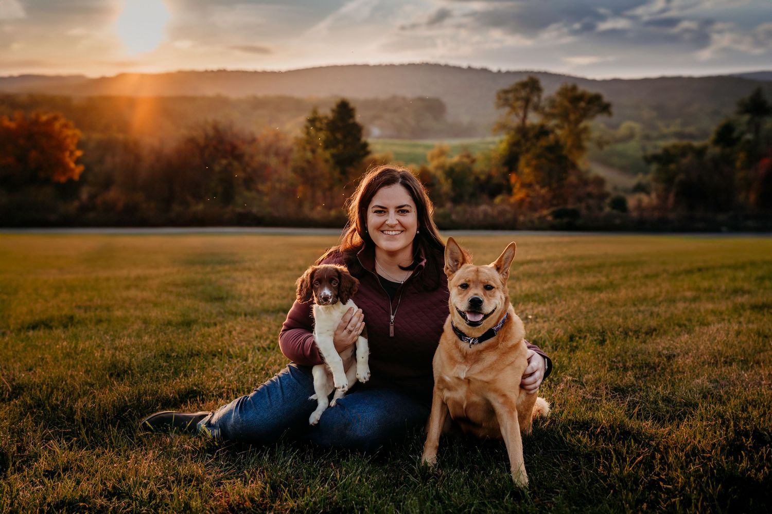 Woman sitting on grass at sunset with a small spaniel puppy and a Shiba Inu dog, rolling hills in background.