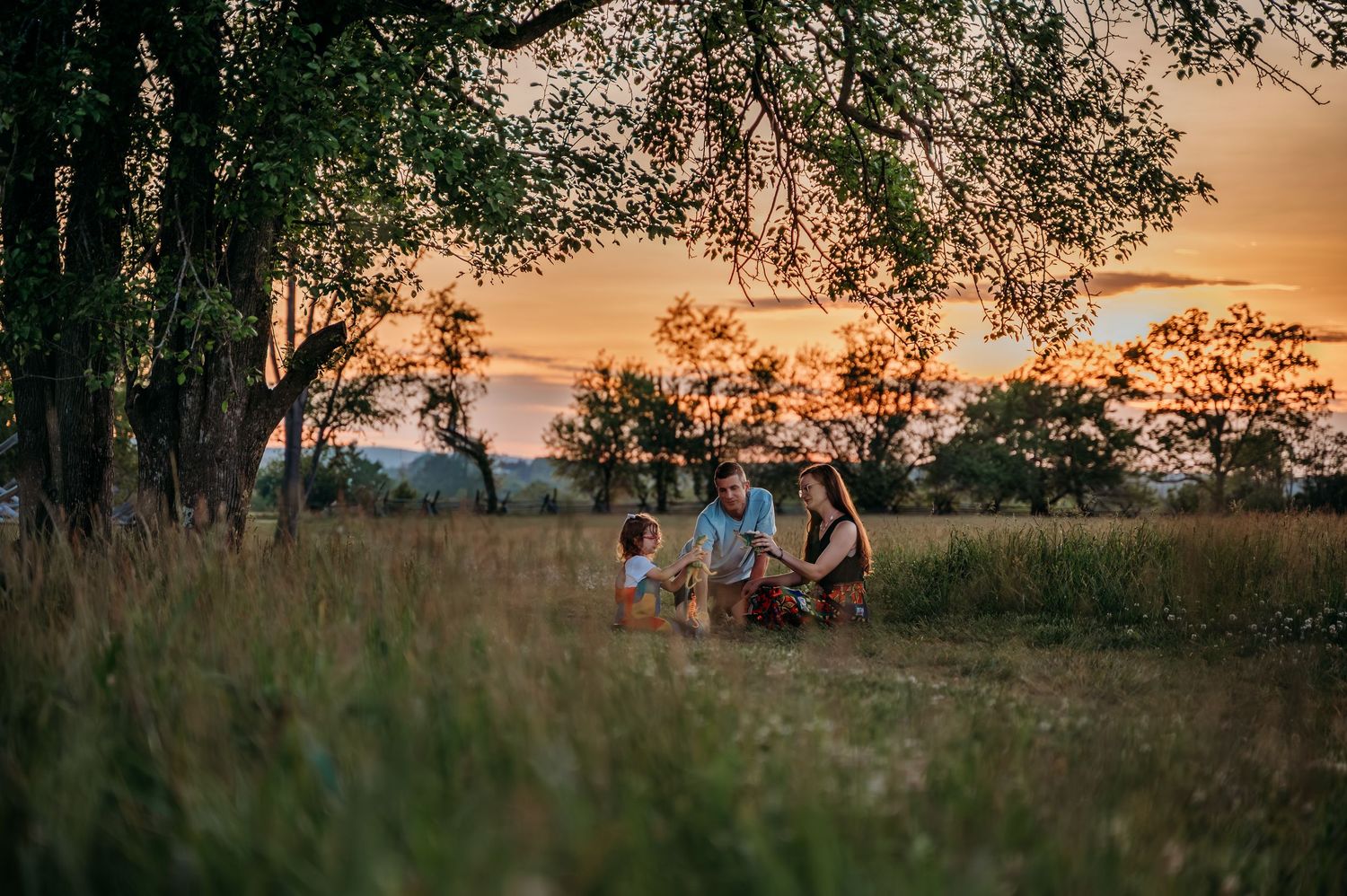 Family sitting together and playing in a golden meadow at sunset in Winchester Virginia surrounded by trees in a peaceful outdoor setting.