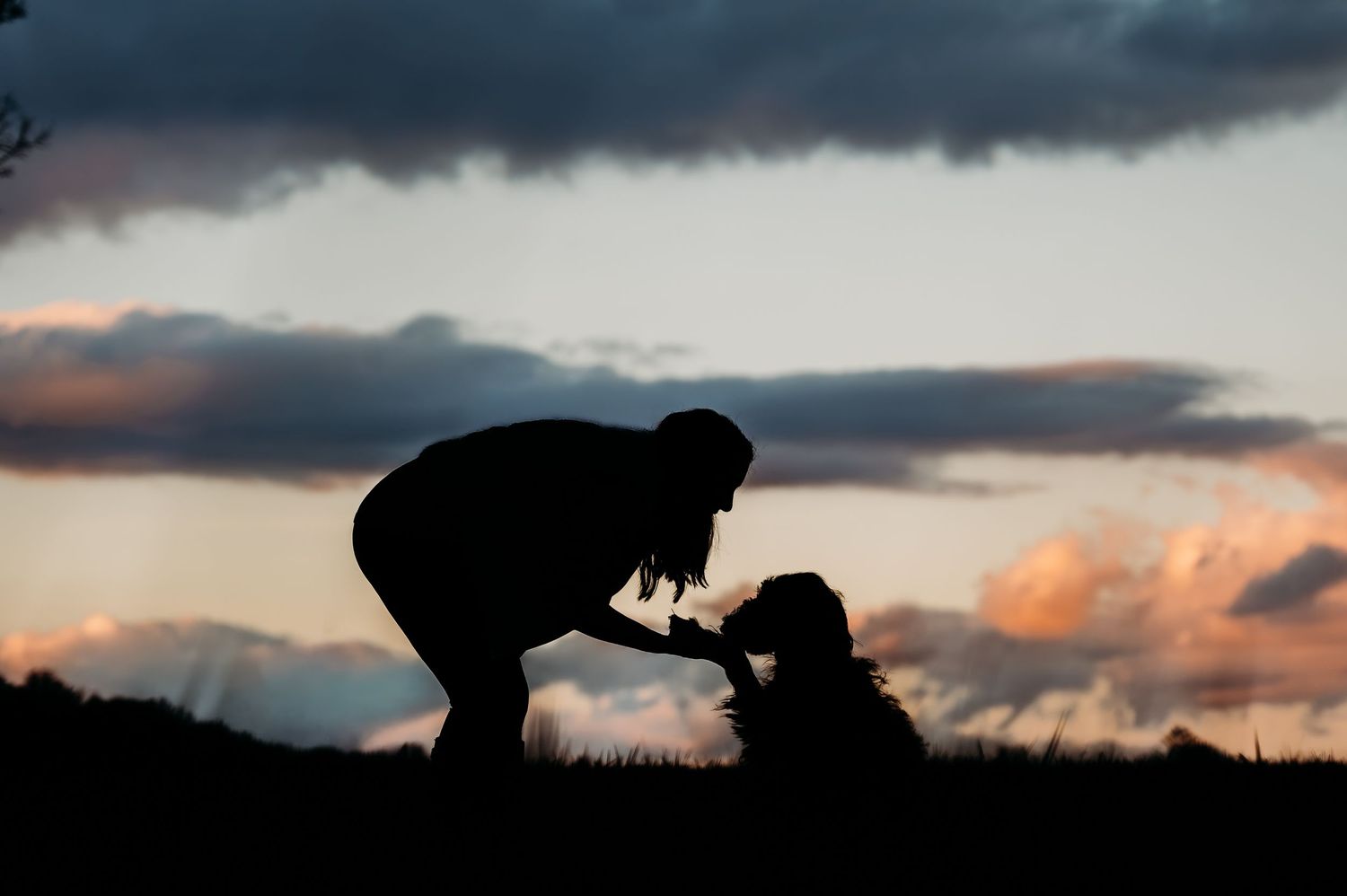 Silhouette of person bending down to interact with a dog at sunset with dramatic cloudy sky backdrop near Berryville Virginia
