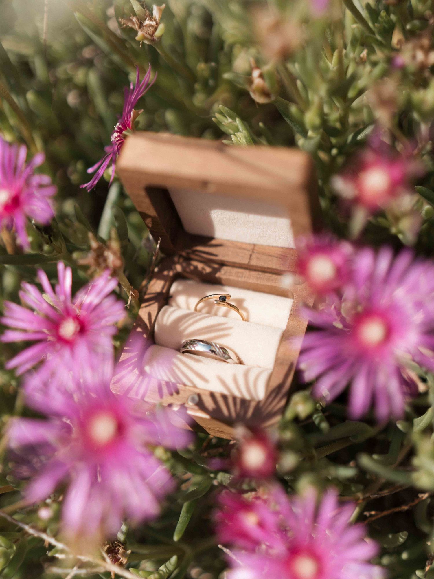 Des alliances en or présentées dans un écrin en bois, entourées de fleurs sauvages roses baignées de soleil.