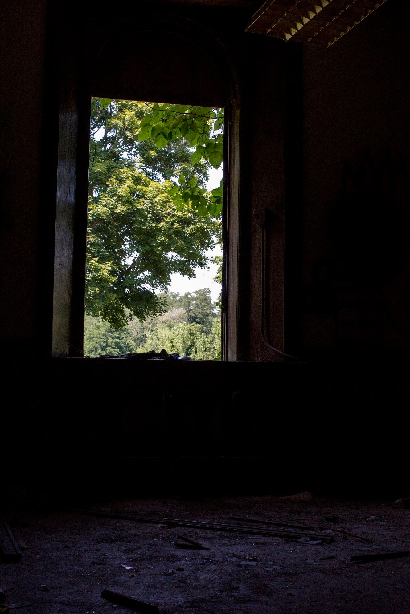 View through a window of an abandoned dark building, with debris on the floor and a lush green tree outside.