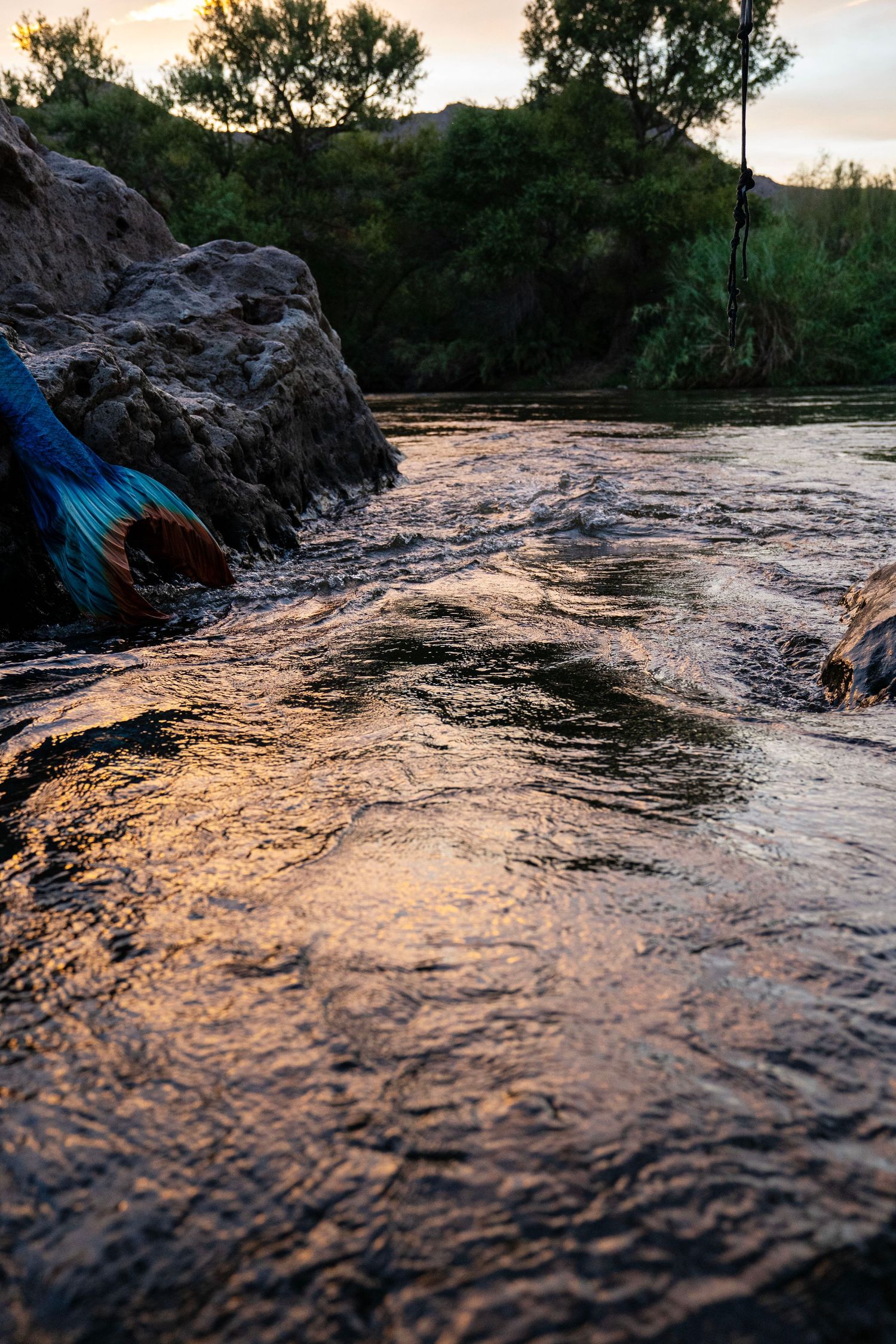 A vibrant blue mermaid tail rests on rocky riverbank as golden sunset light reflects on water. Mermaid photoshoot, fantasy photoshoot.