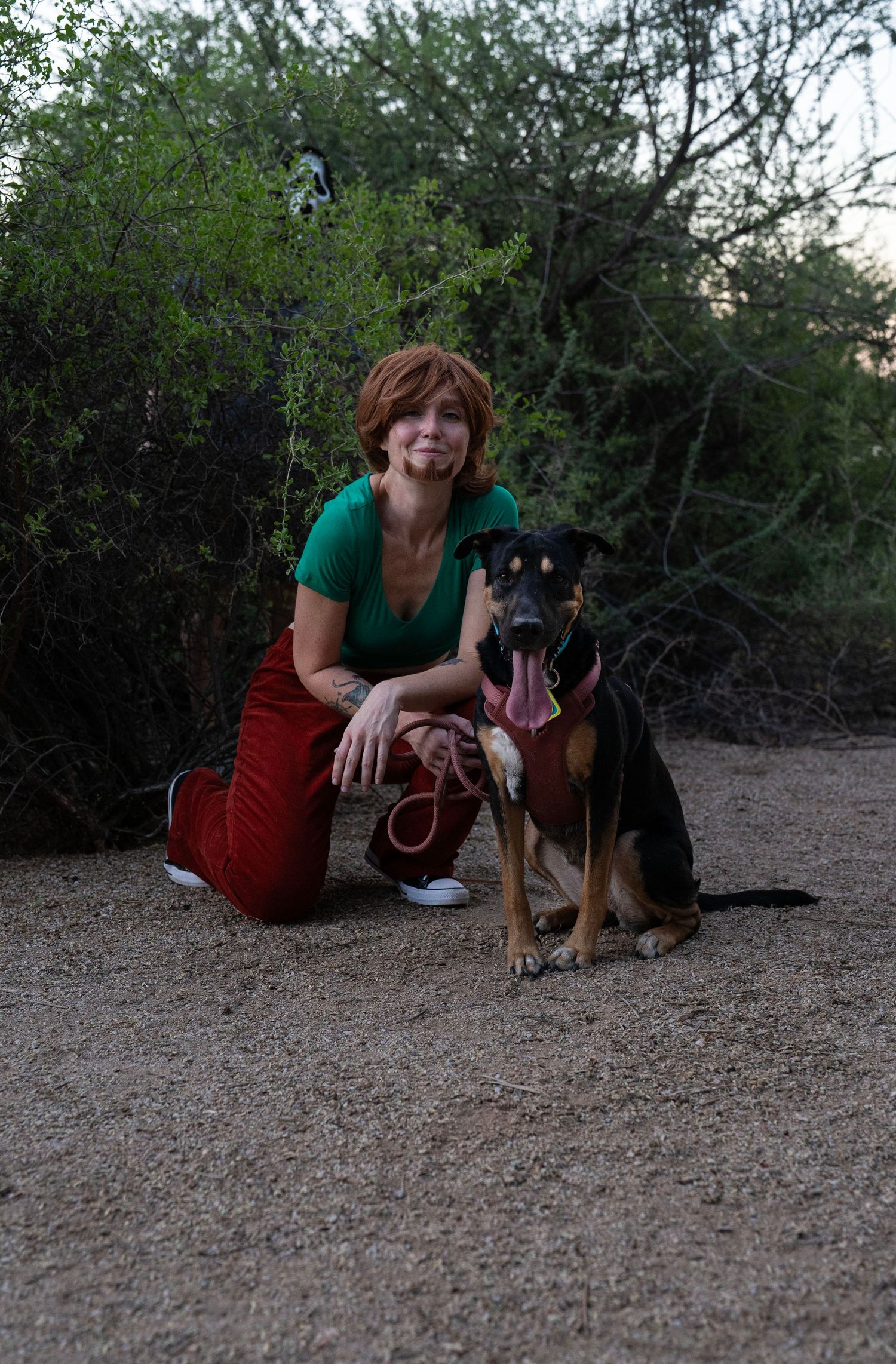 Woman in a green shirt and red pants kneels on a dirt trail beside her black and tan dog wearing a red harness, with green bushes behind.