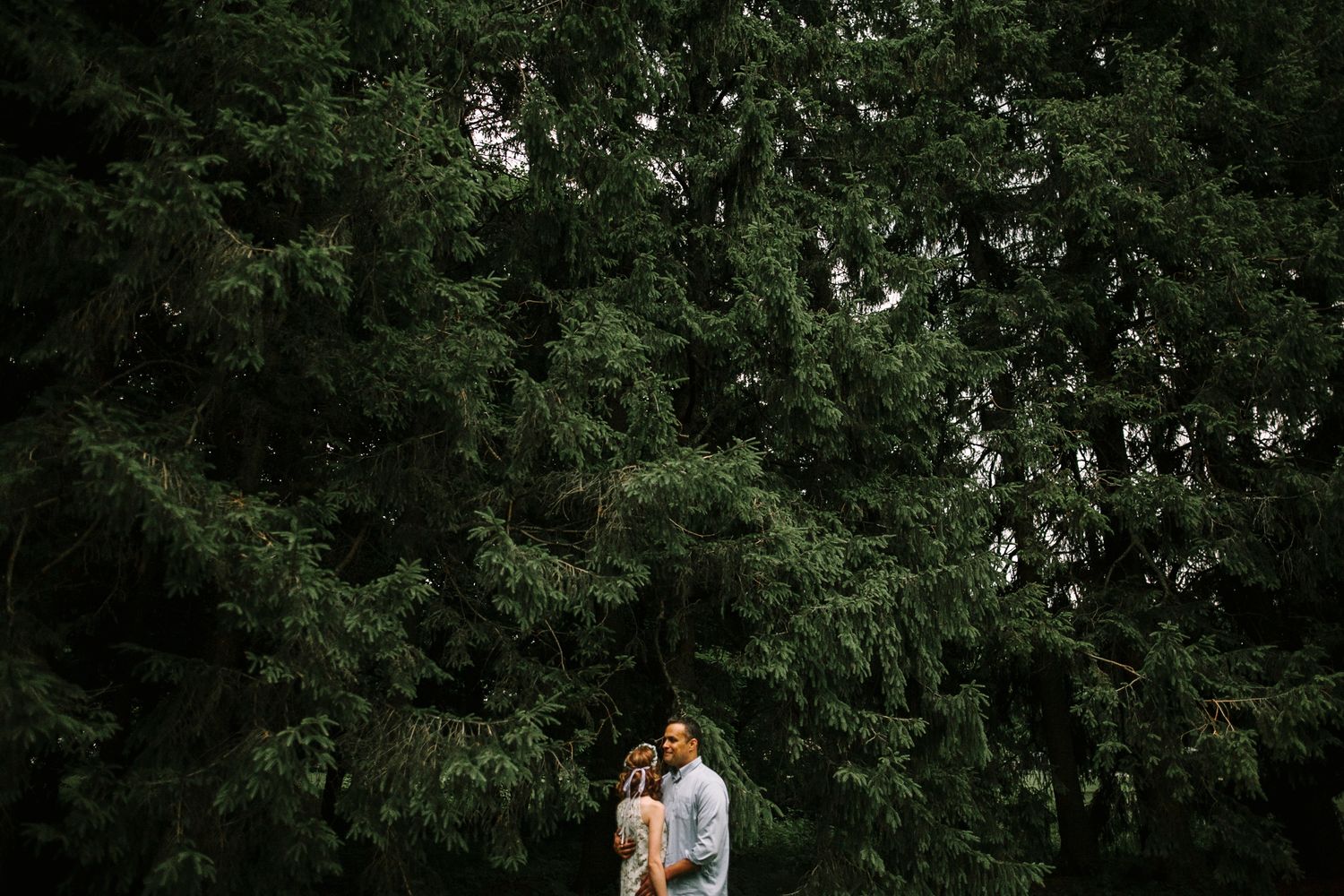Couple embraces intimately beneath a towering lush evergreen tree in a forest setting.