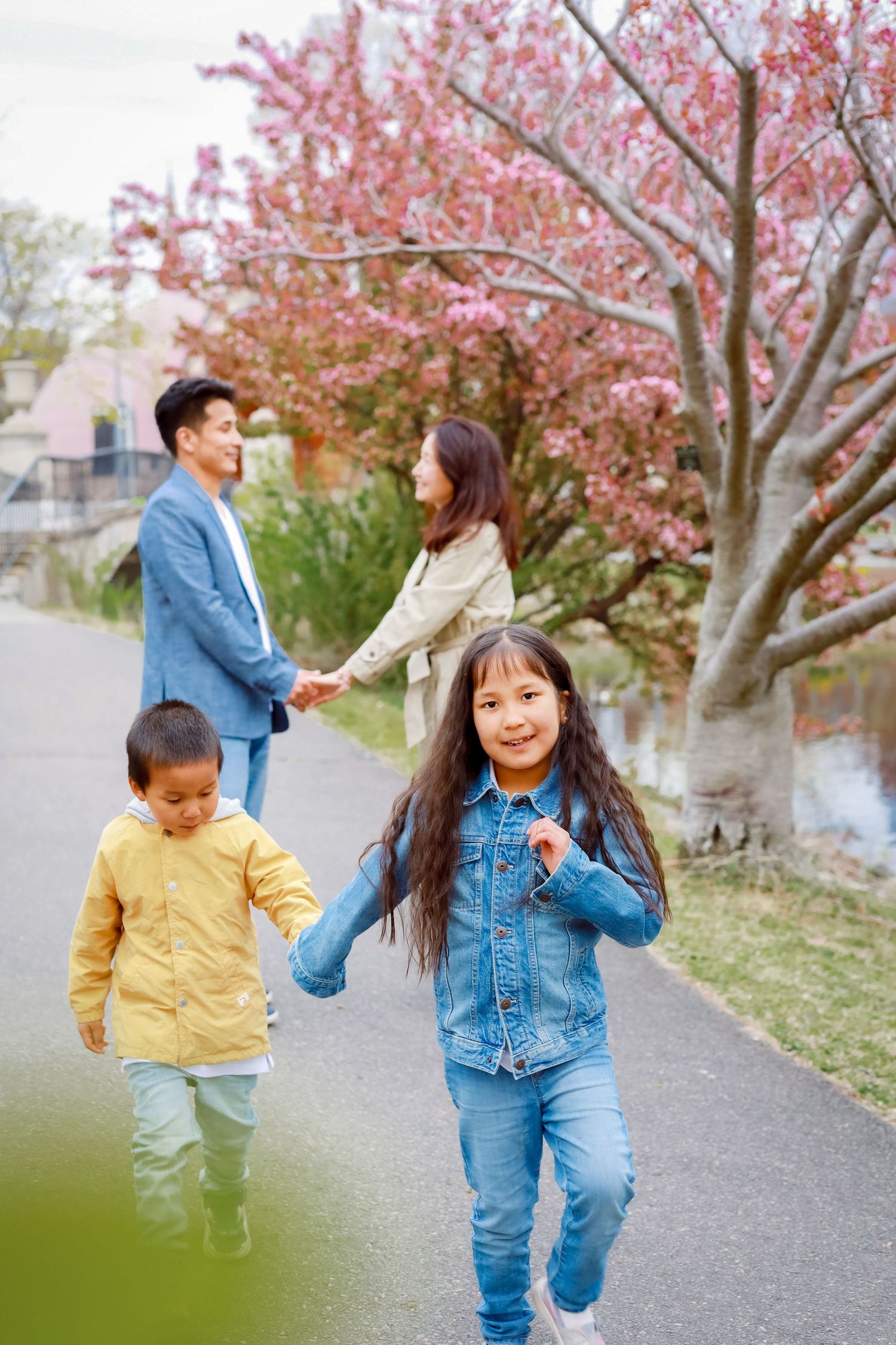 Asian family of four enjoying a spring walk near blooming cherry blossom trees by a river.