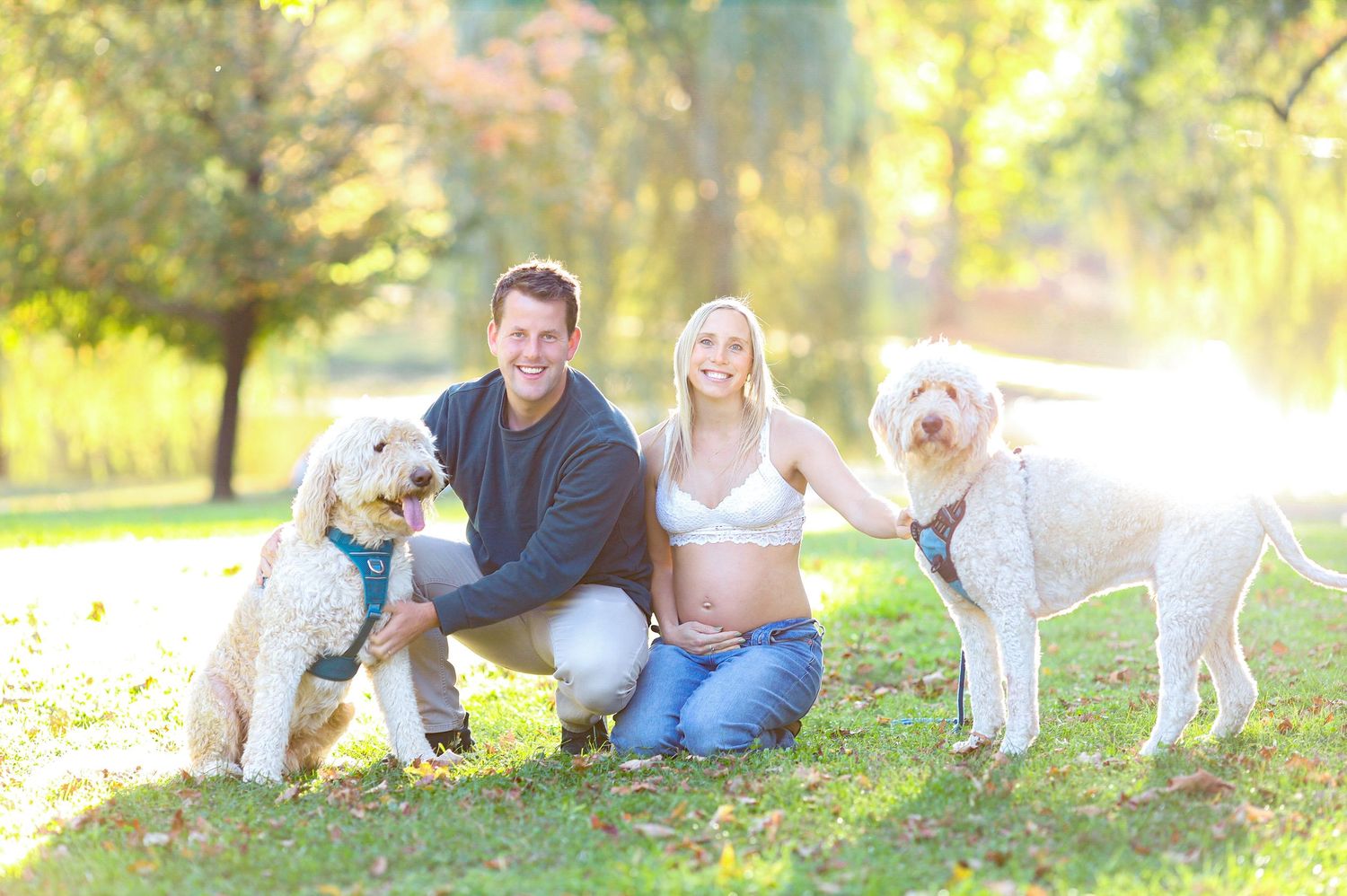 Smiling pregnant couple kneeling on grass in sunny park with two fluffy goldendoodle dogs on leashes.