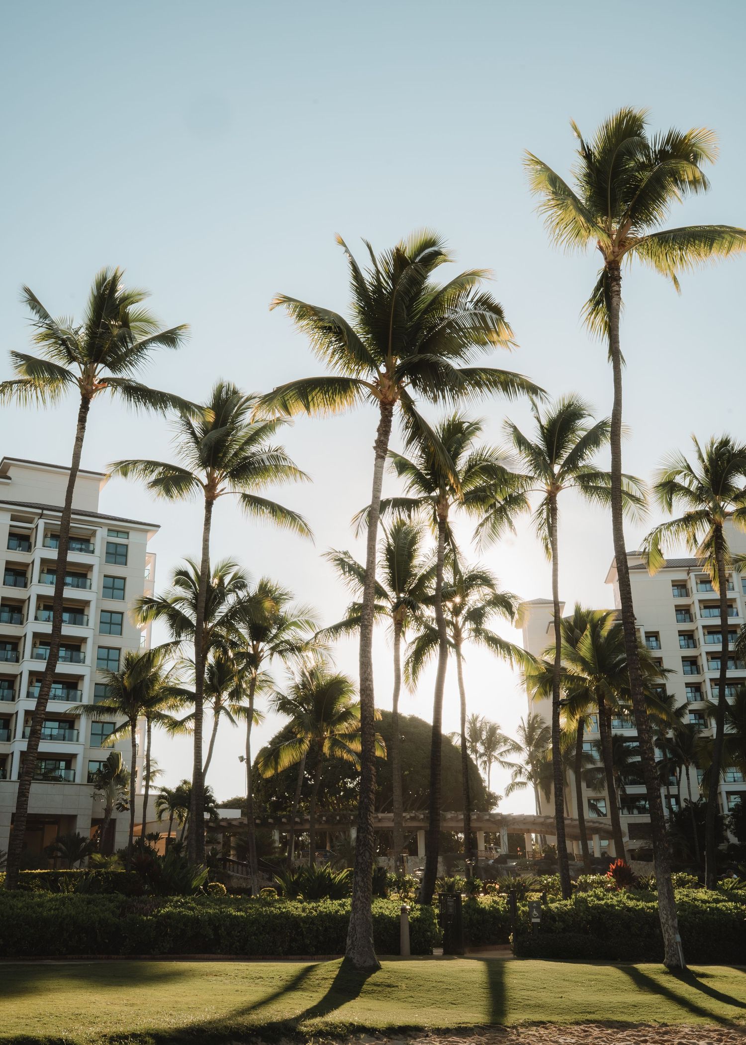 Palm trees line a beachfront property with modern apartment buildings during golden sunset in a tropical resort setting.