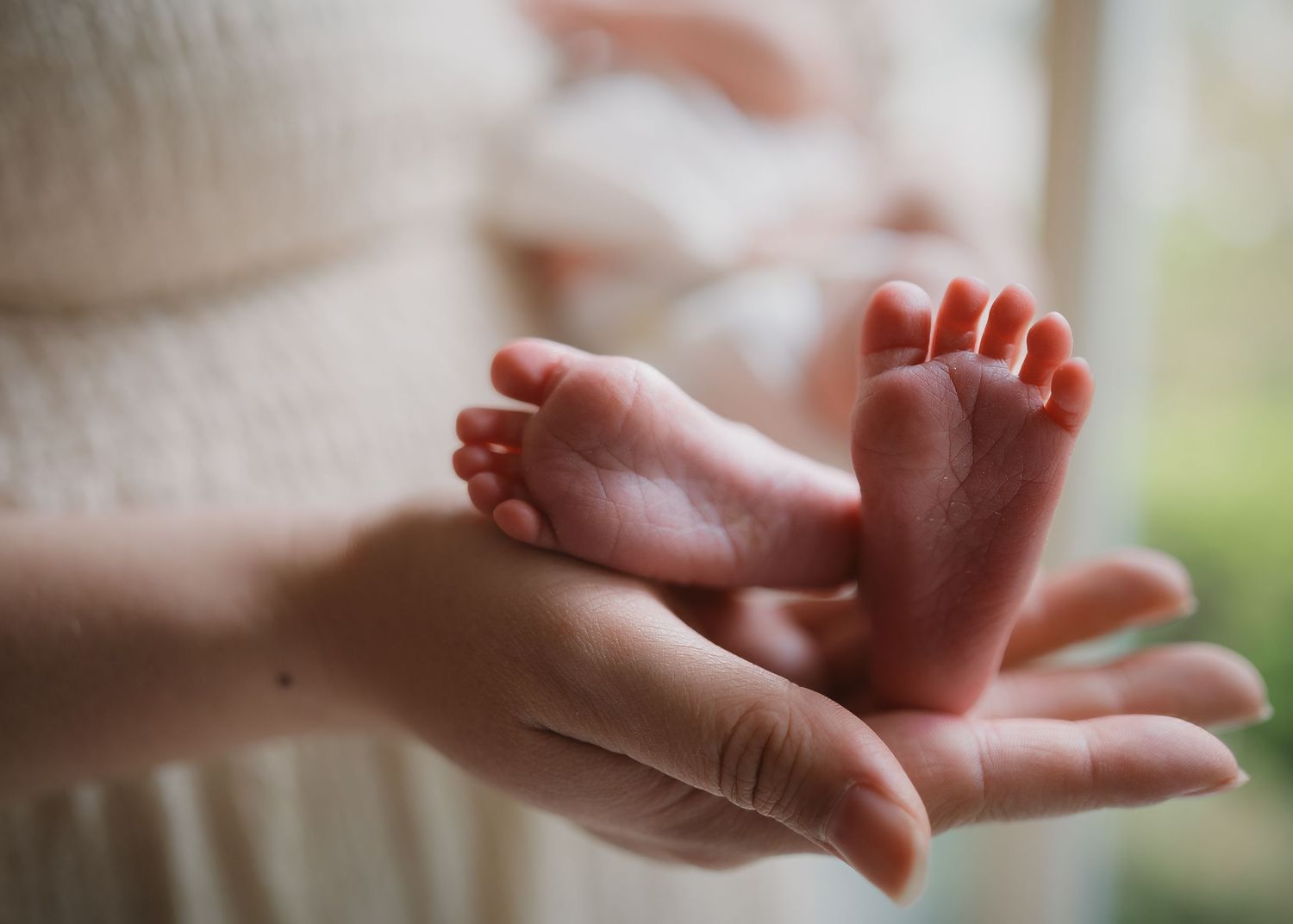Close-up of a newborn baby's tiny bare feet resting in a parent's gentle hands in soft natural window light.
