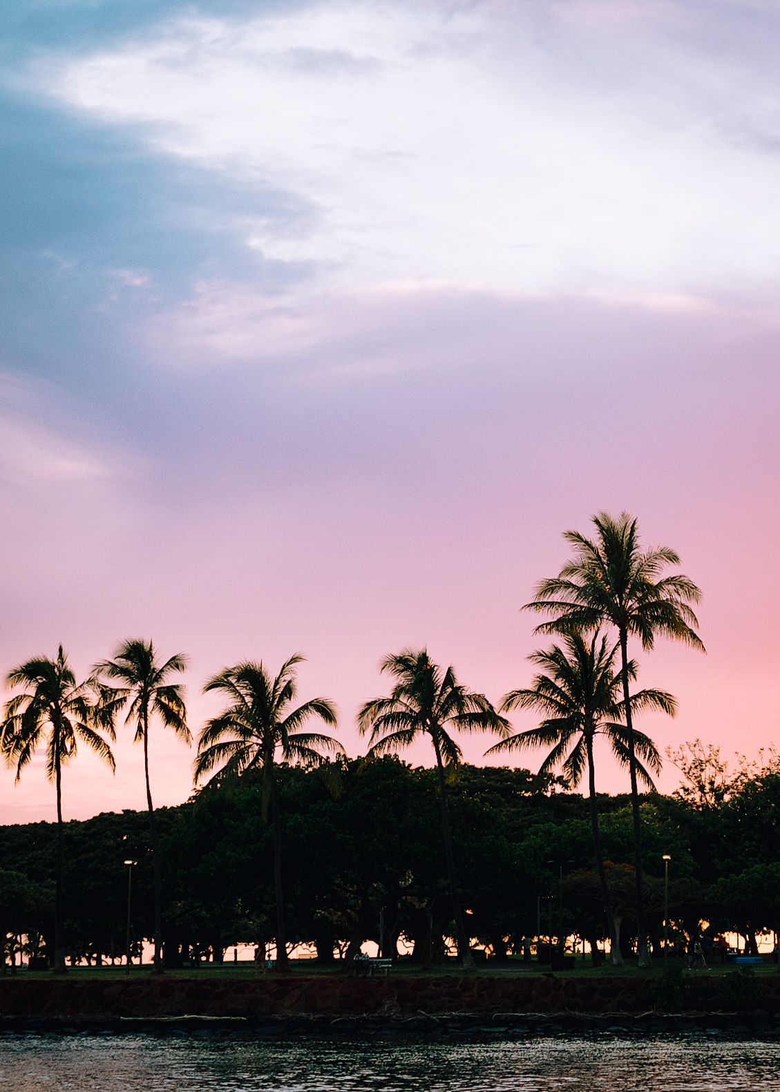 Silhouettes of palm trees against a pink and purple sunset sky over the ocean.