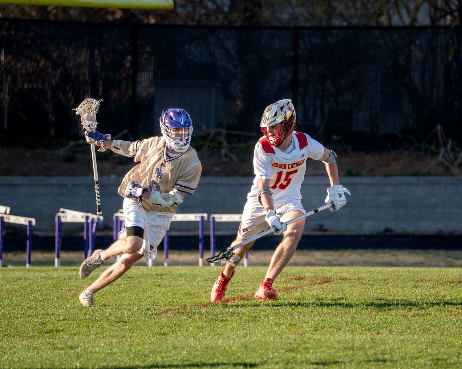 Two lacrosse players in helmets, one in purple and gold and one in red and white, run with sticks across a grass field during a game.