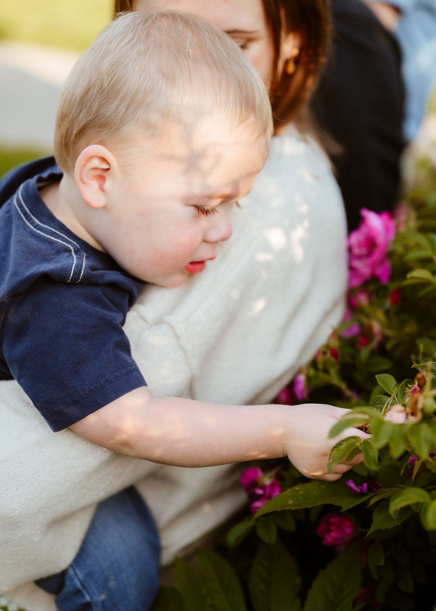 A toddler in a navy shirt reaches for pink flowers in a garden while being held by a woman.