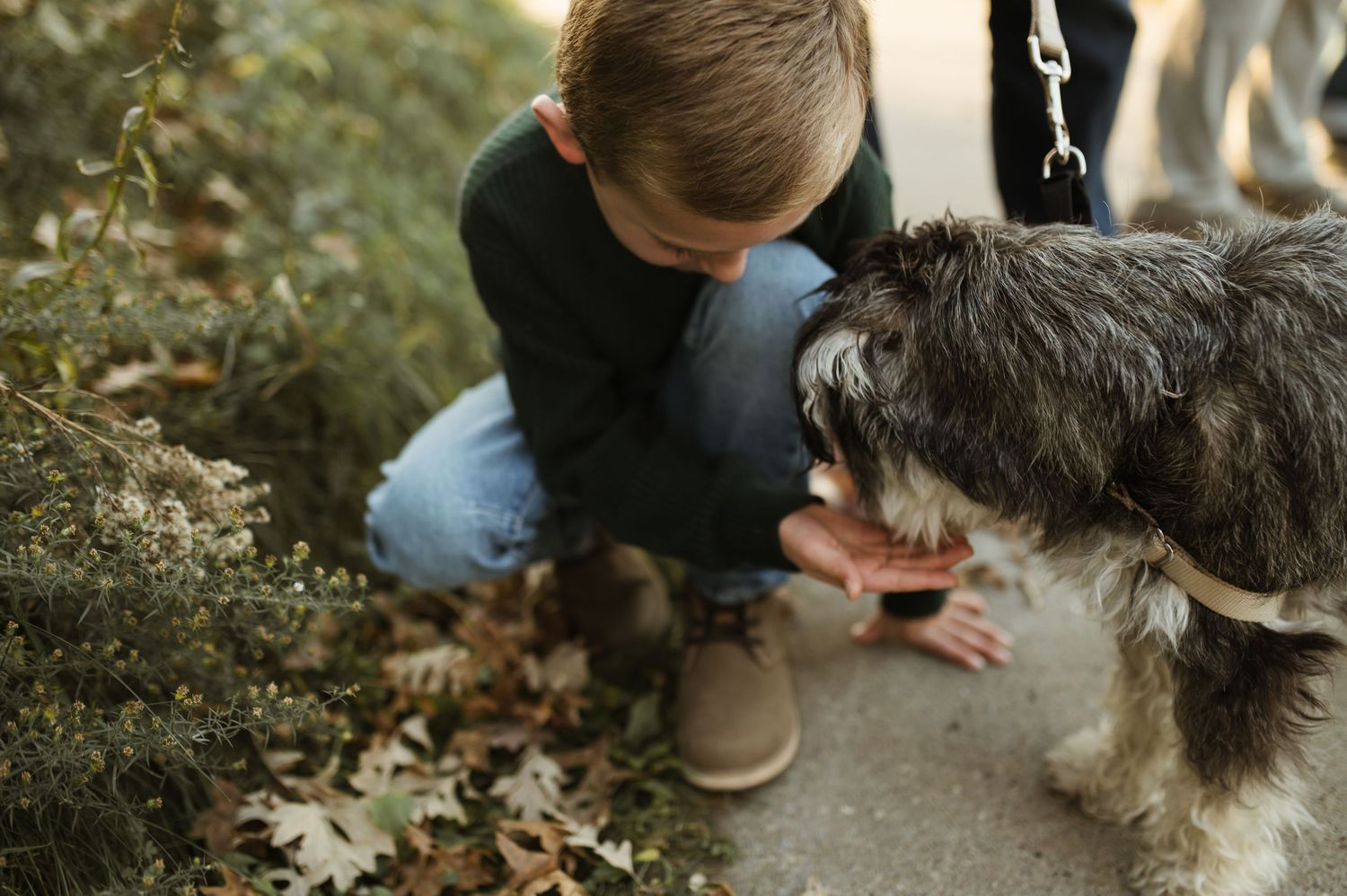 A young boy crouches down to pet a fluffy gray dog on a leaf-covered path outdoors.