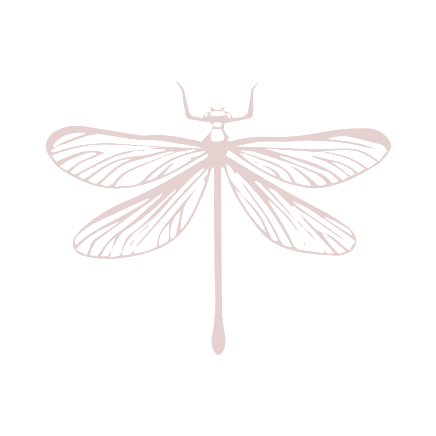 A soft pink dragonfly illustration on a white background.