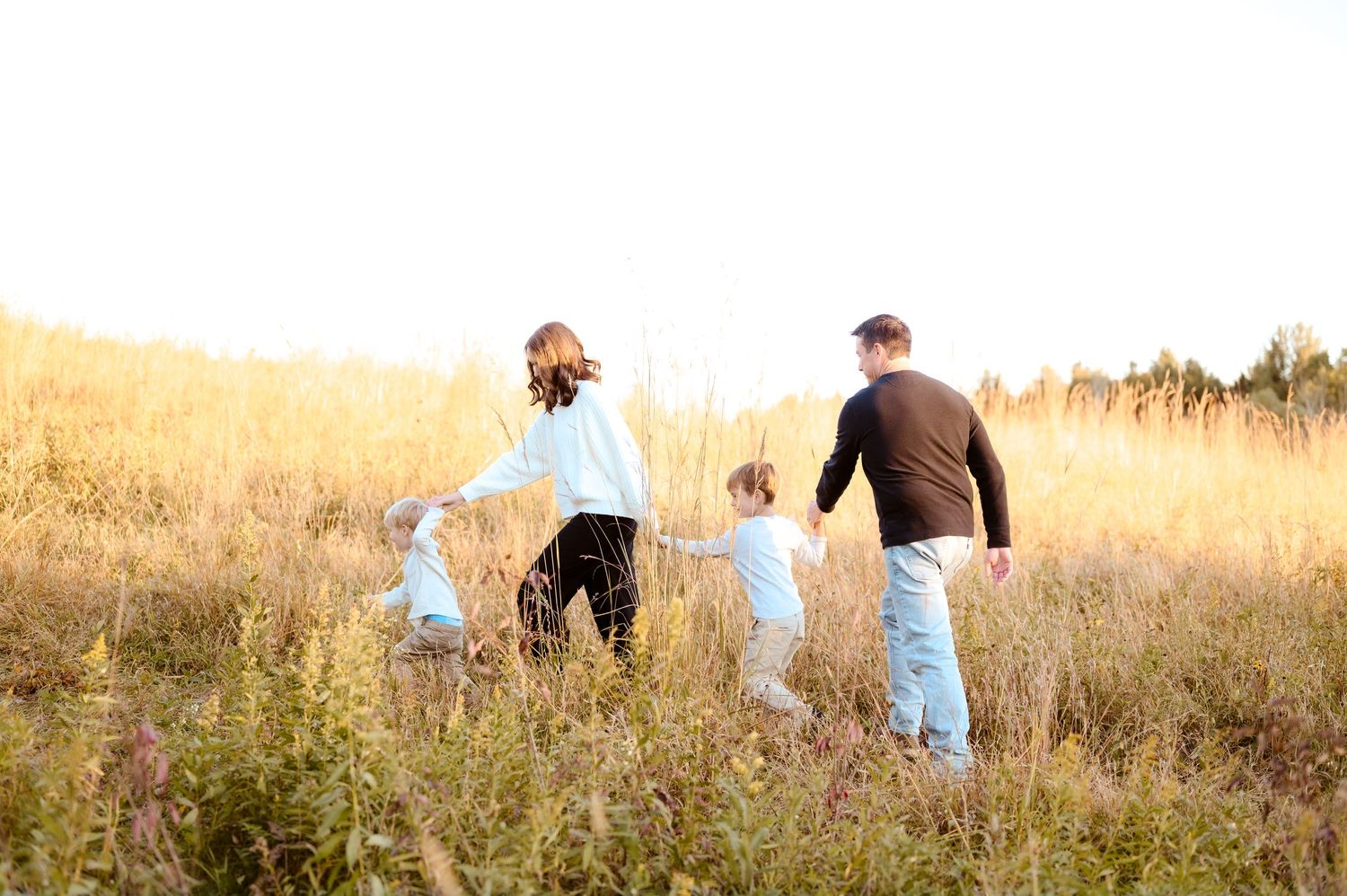 Family of four walking hand-in-hand through a golden sunlit meadow.