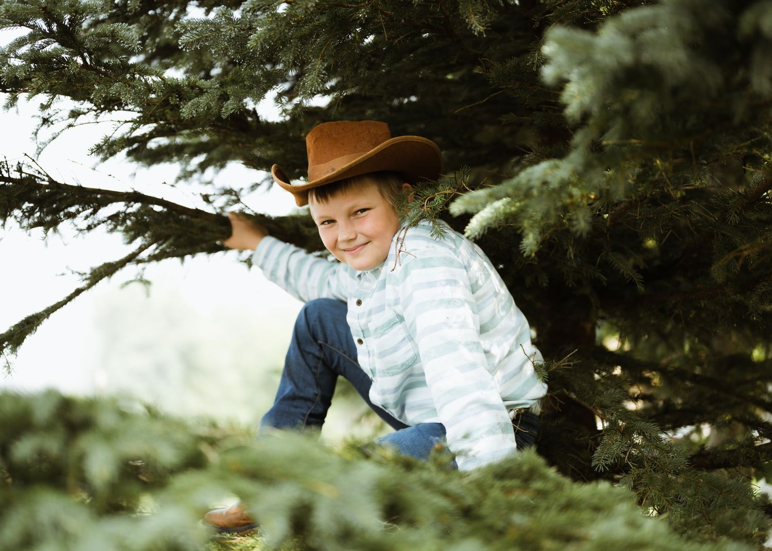 A smiling boy in a cowboy hat peeks through green pine tree branches outdoors.