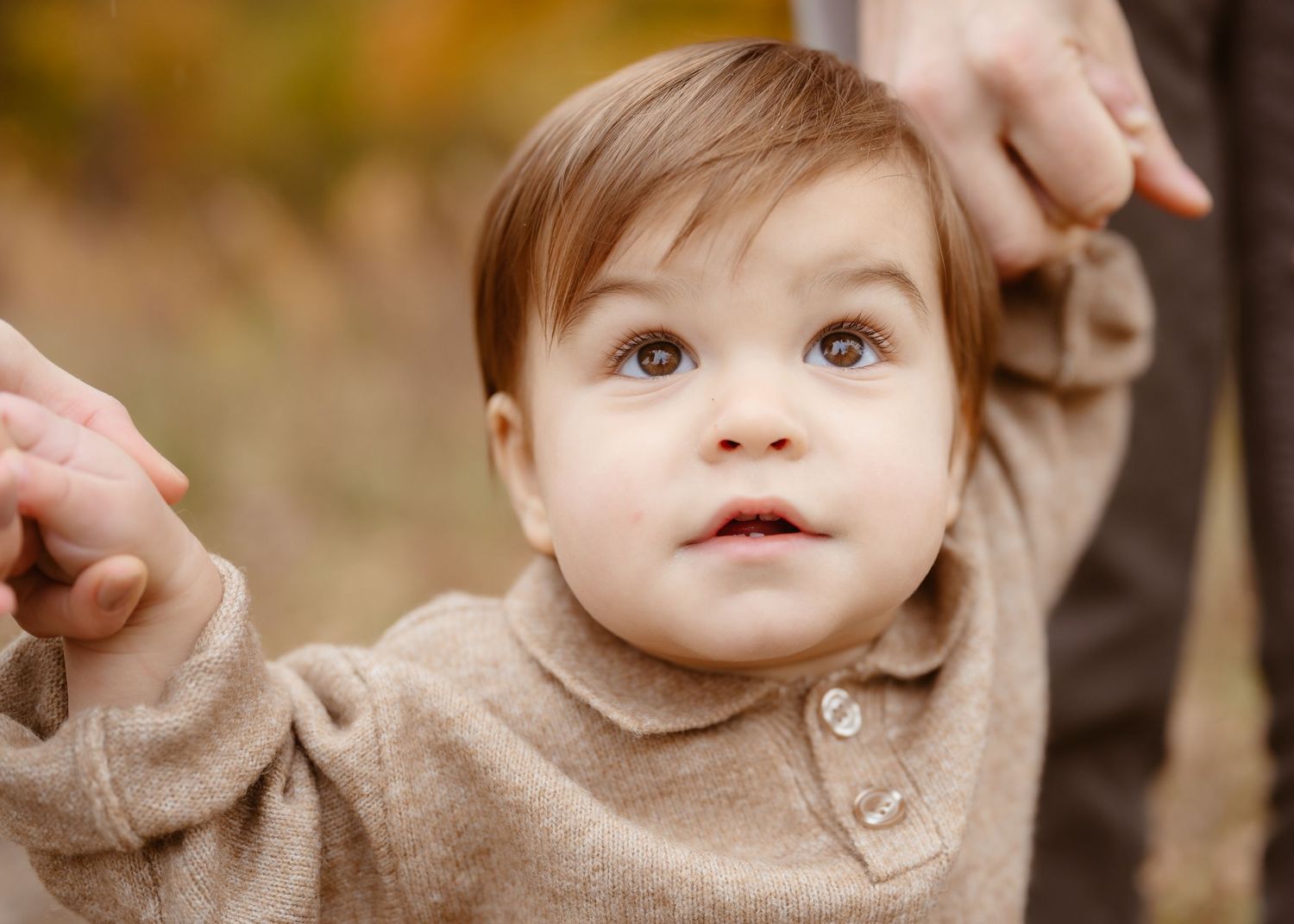 Adorable baby with brown eyes wearing a tan sweater being held up by adult hands outdoors in fall.