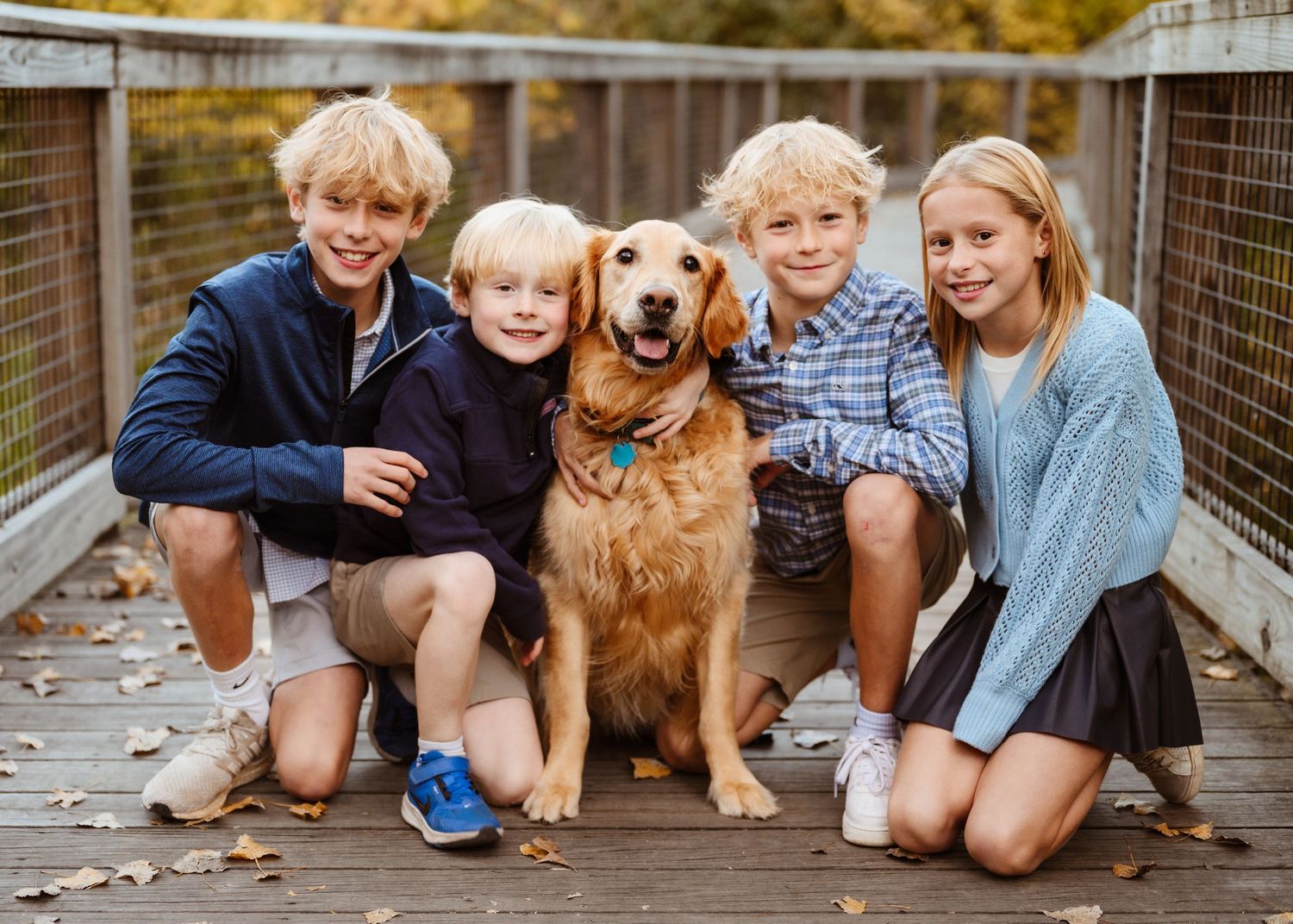 Four blonde children posing with a golden retriever on a wooden bridge in autumn.