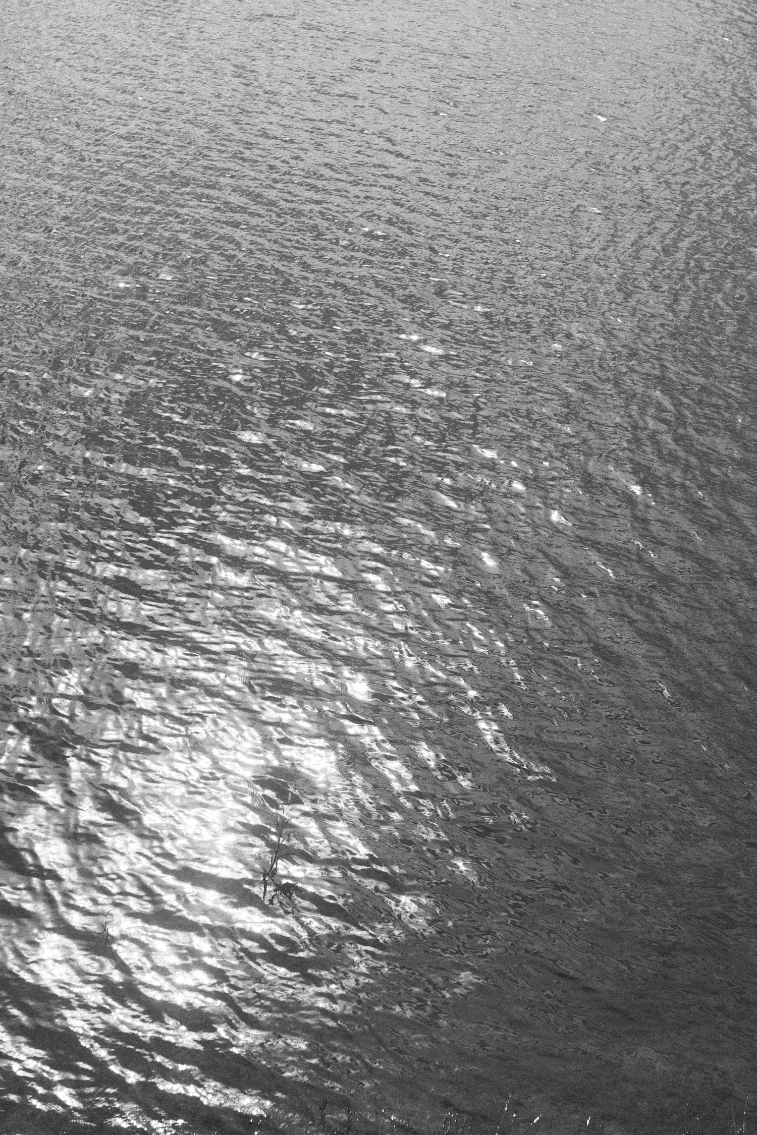 Black and white aerial view of sunlight reflecting on rippling water surface.