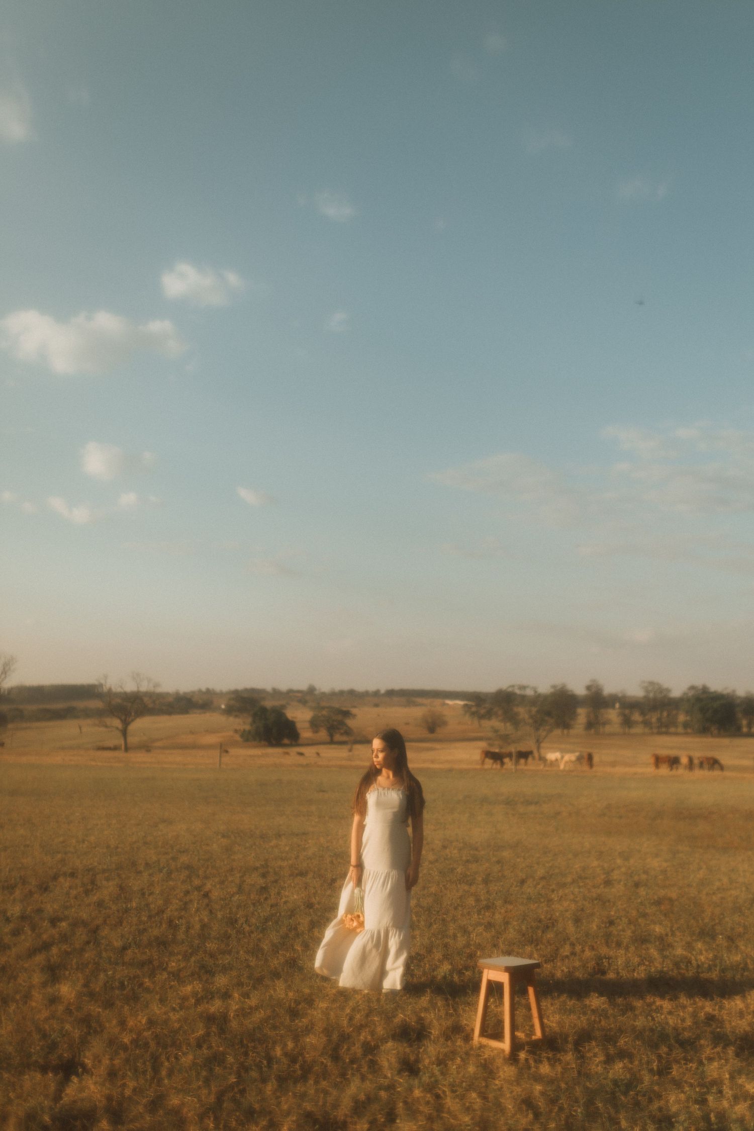 Young woman in a white dress standing in a golden sunlit field with horses grazing in the background.
