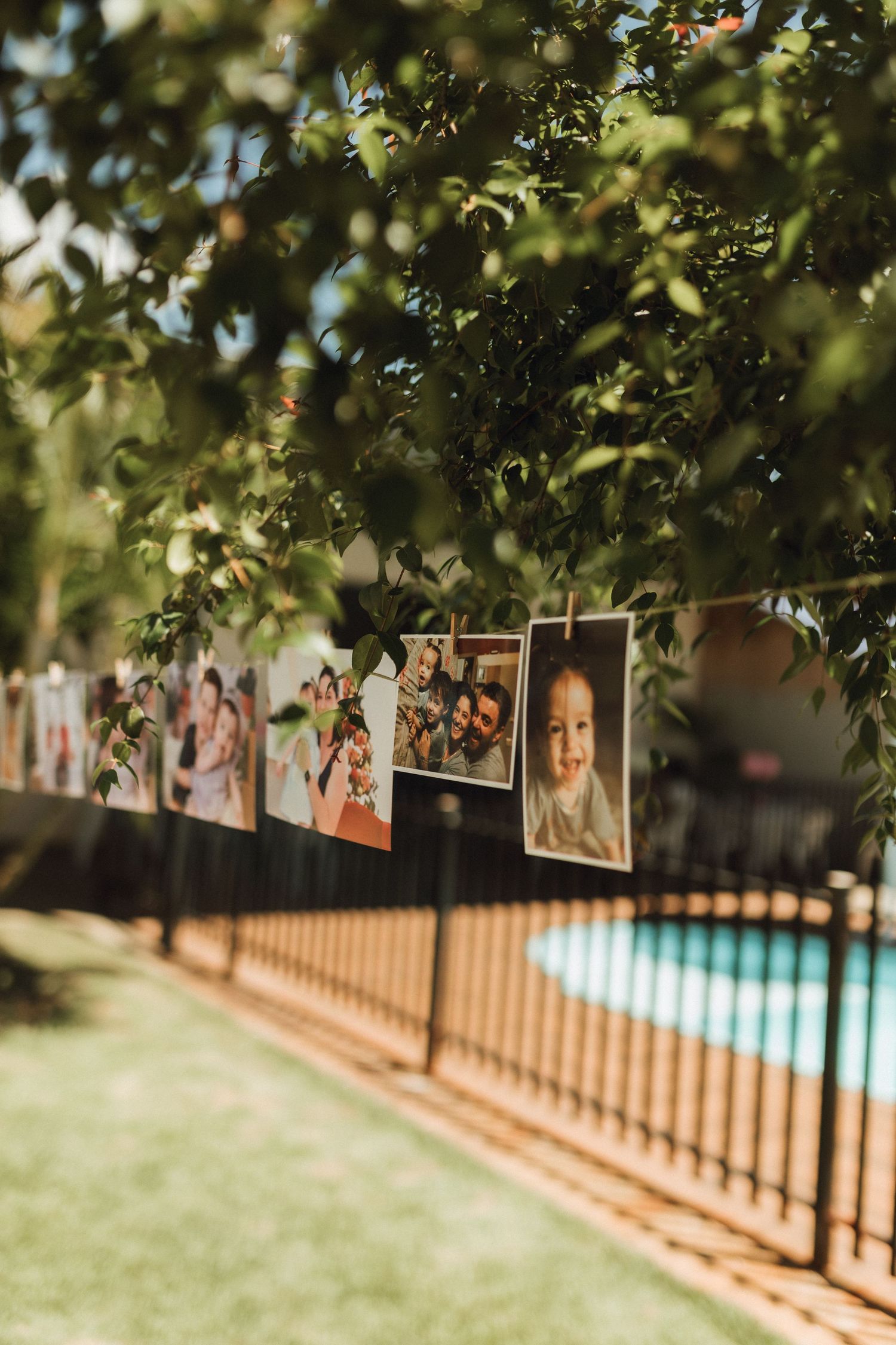 Photos hanging on a string along a fence near a pool, surrounded by lush green trees in a sunny backyard.