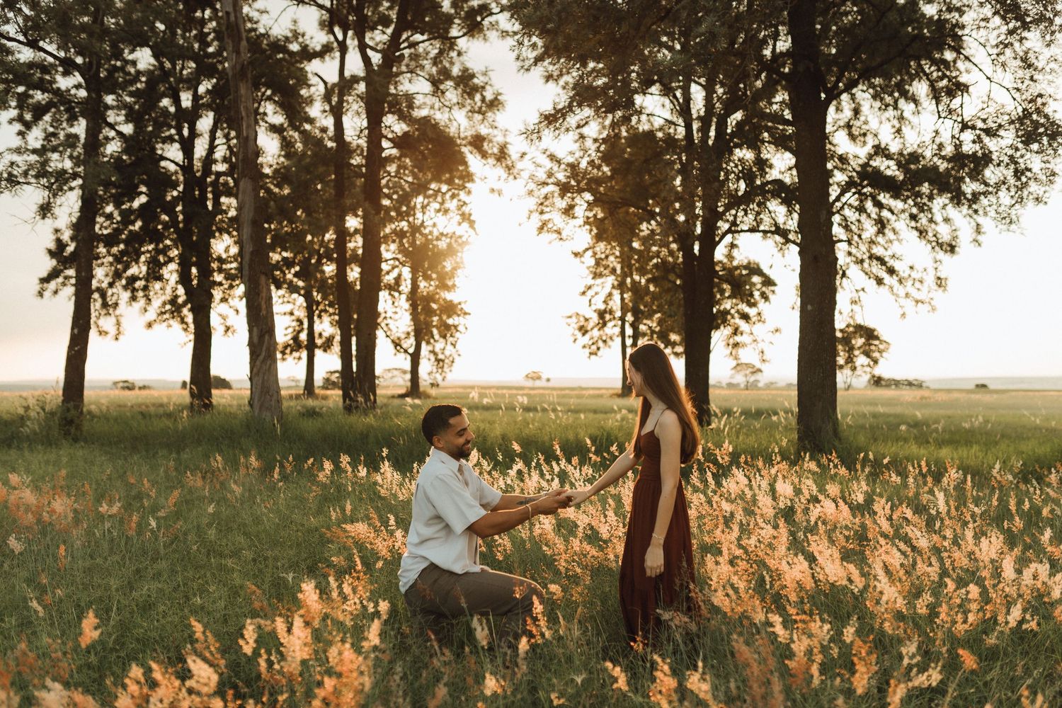 Man on one knee proposing to woman in a sunlit meadow surrounded by tall grass and trees.