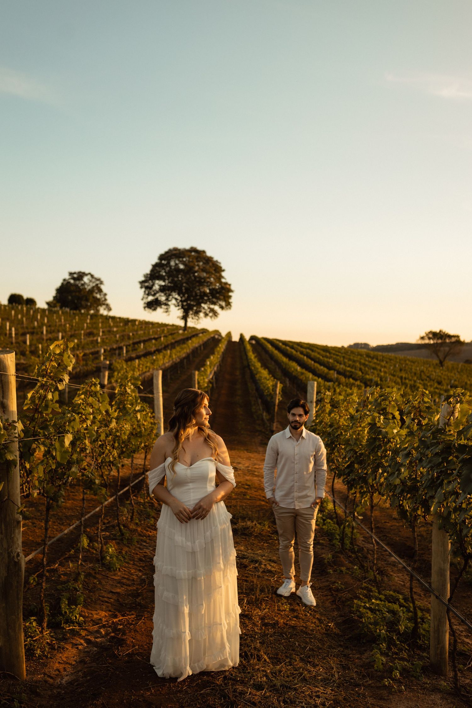 Bride in white dress and groom in casual attire stand among golden vineyard rows at sunset.