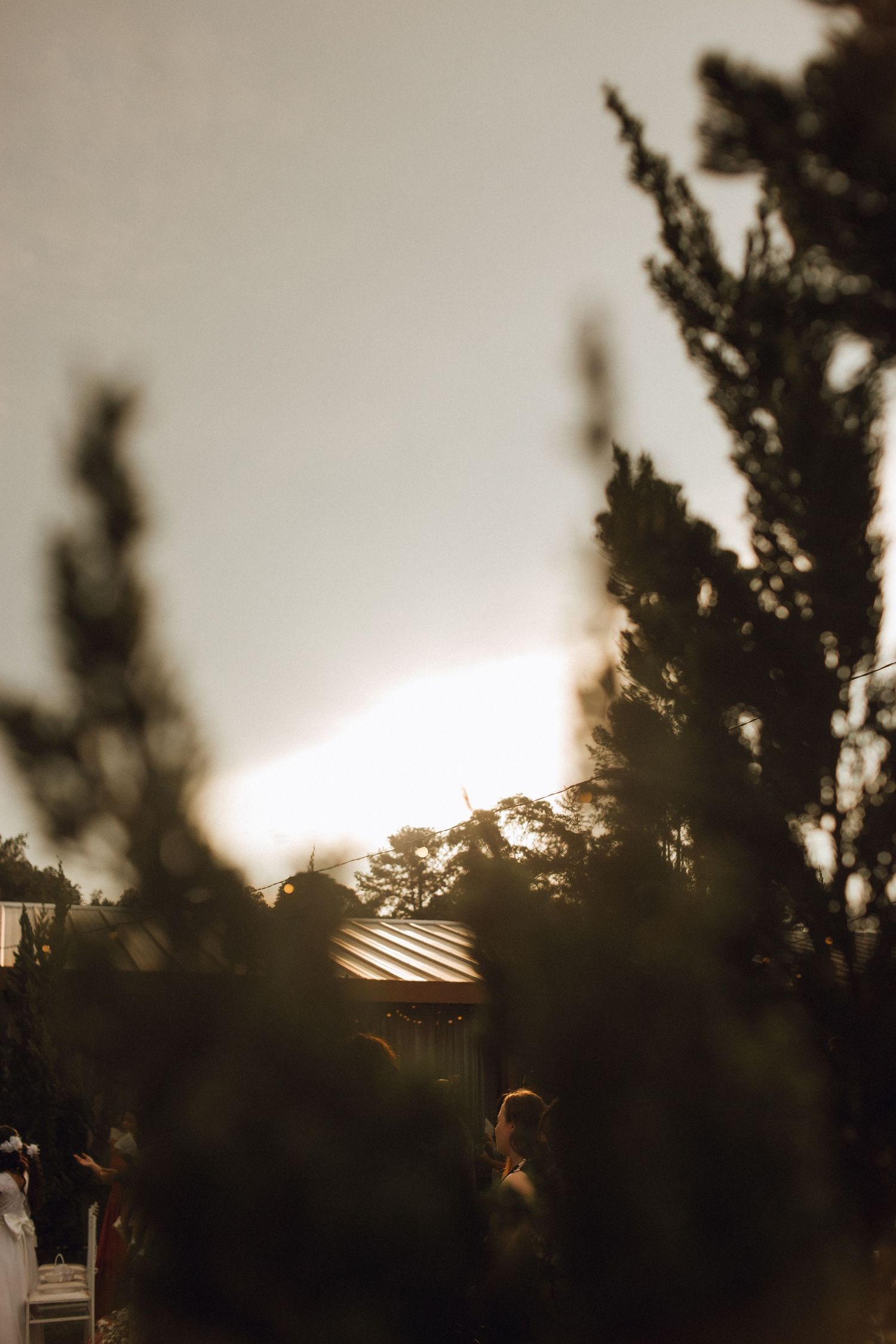 Dreamy golden sunset silhouette through cypress trees at an outdoor wedding ceremony venue.