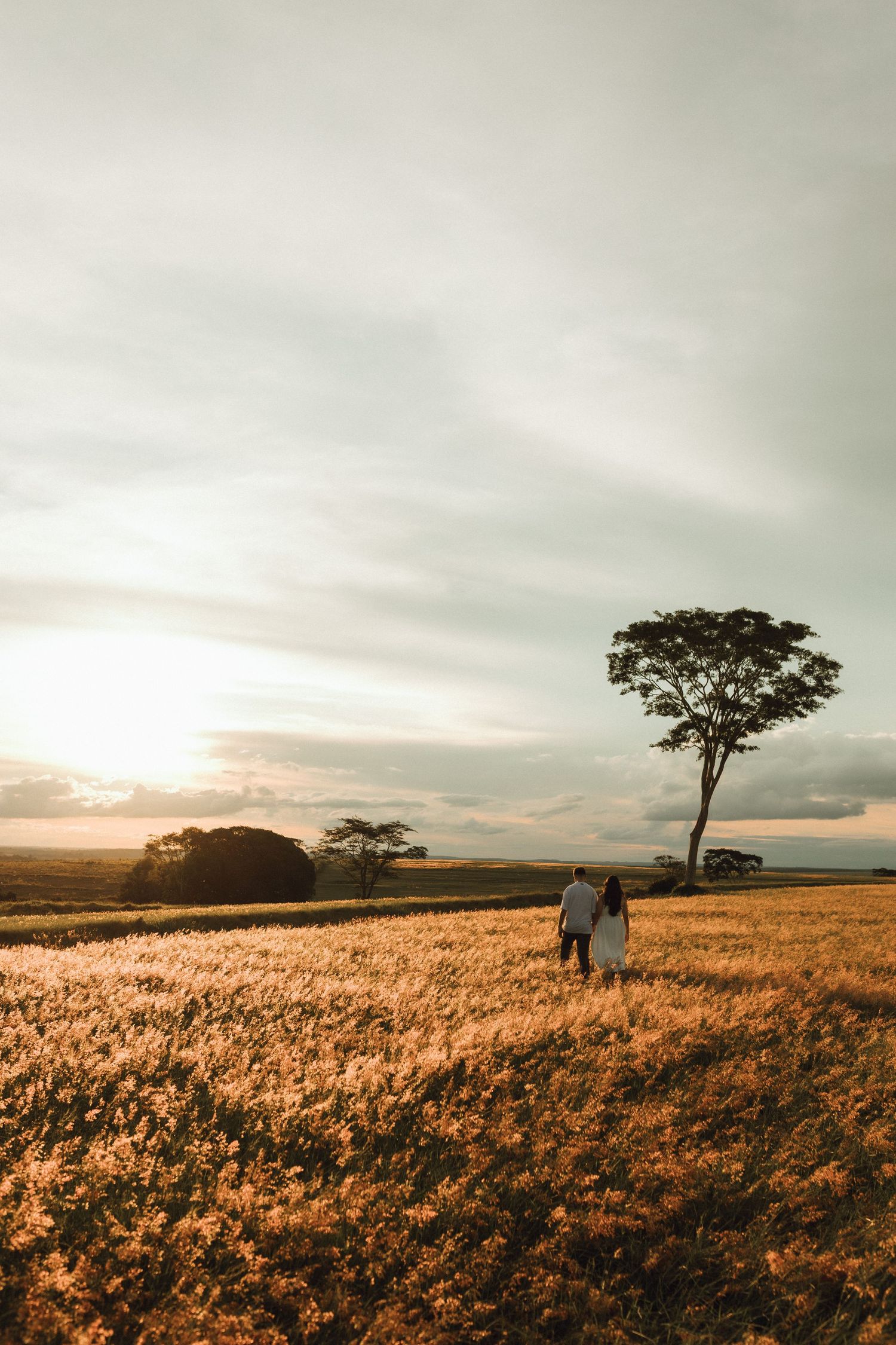 Couple walking hand in hand through a golden field at sunset with a lone tree on the horizon.