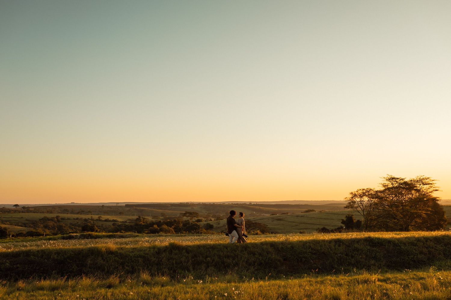 Couple walking through golden fields at sunset with vast landscape and tree silhouette in warm evening light.