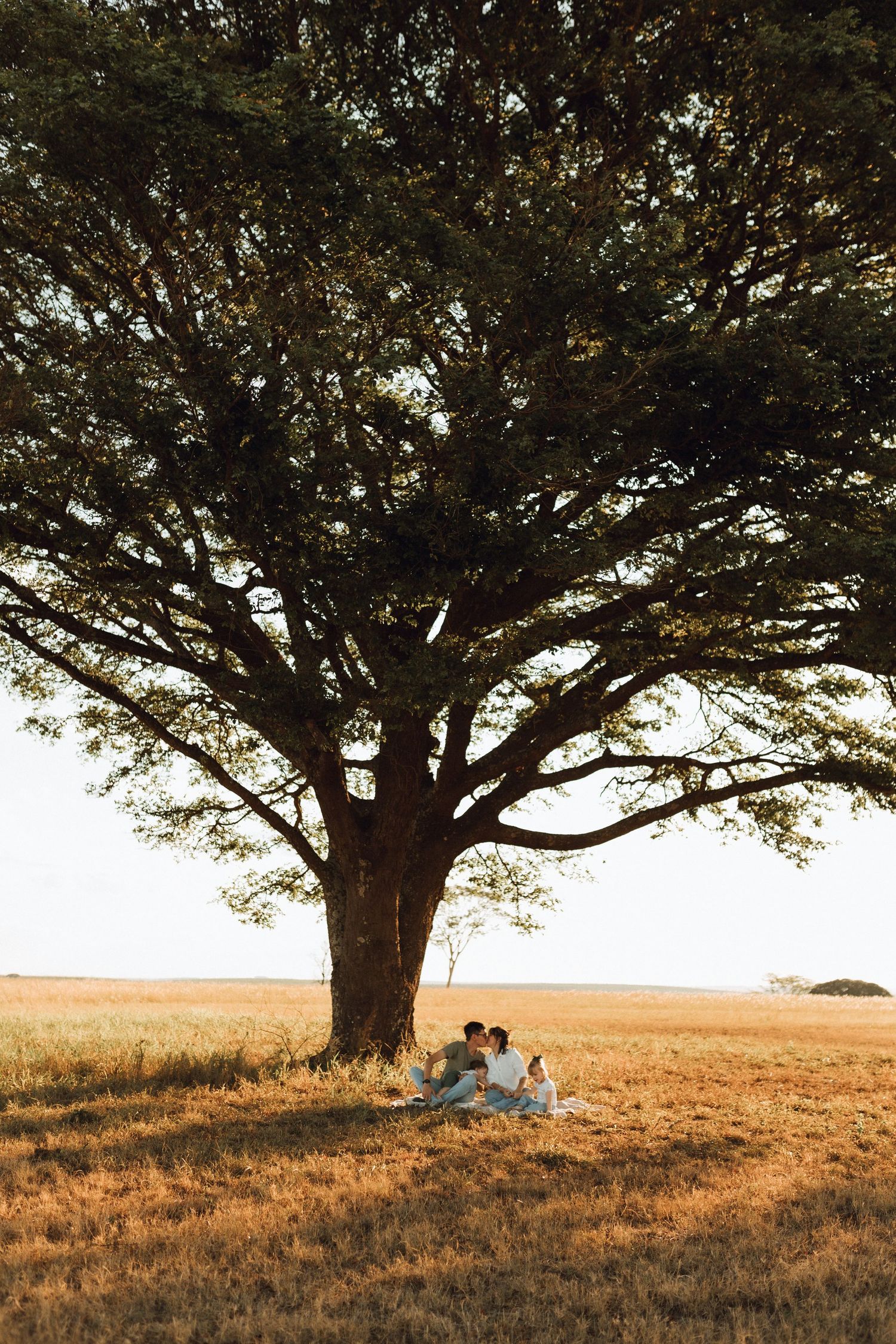 Family sitting together under a large tree in a golden field during sunset.