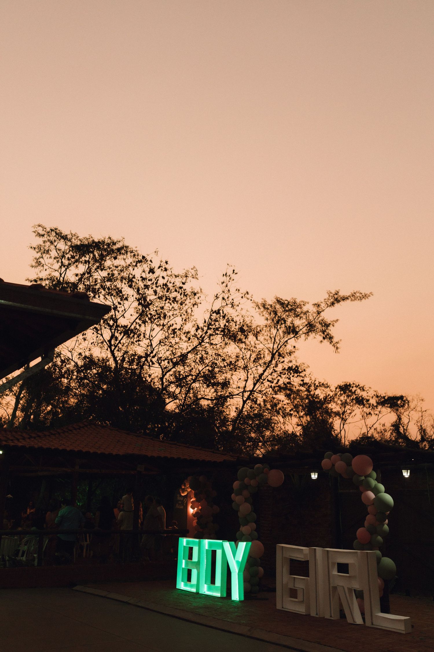 Illuminated BOY and GIRL signs at a gender reveal party during sunset with balloons and trees in background.