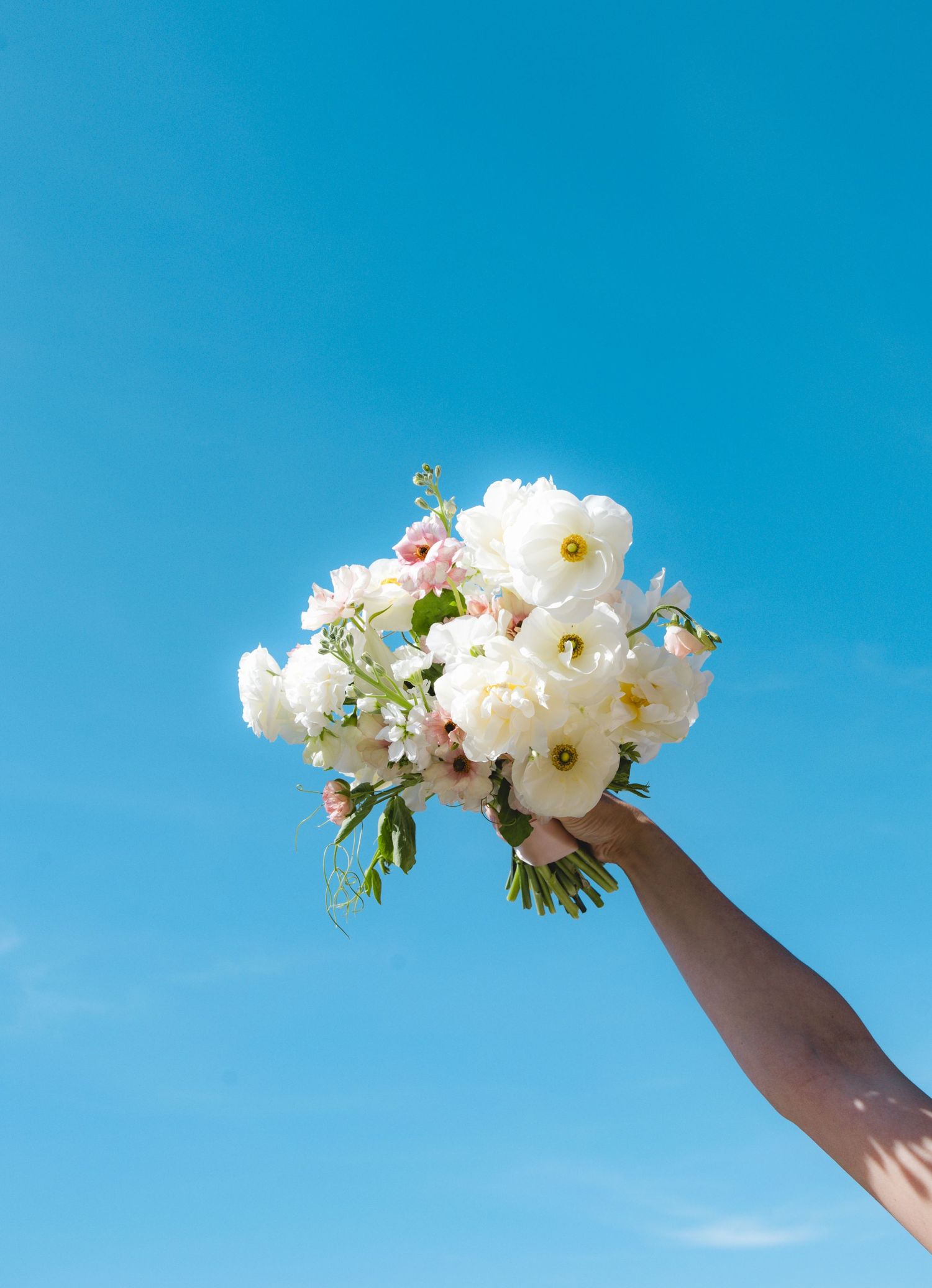 A hand holds a lush white peony bouquet with pink accents against a bright blue sky.