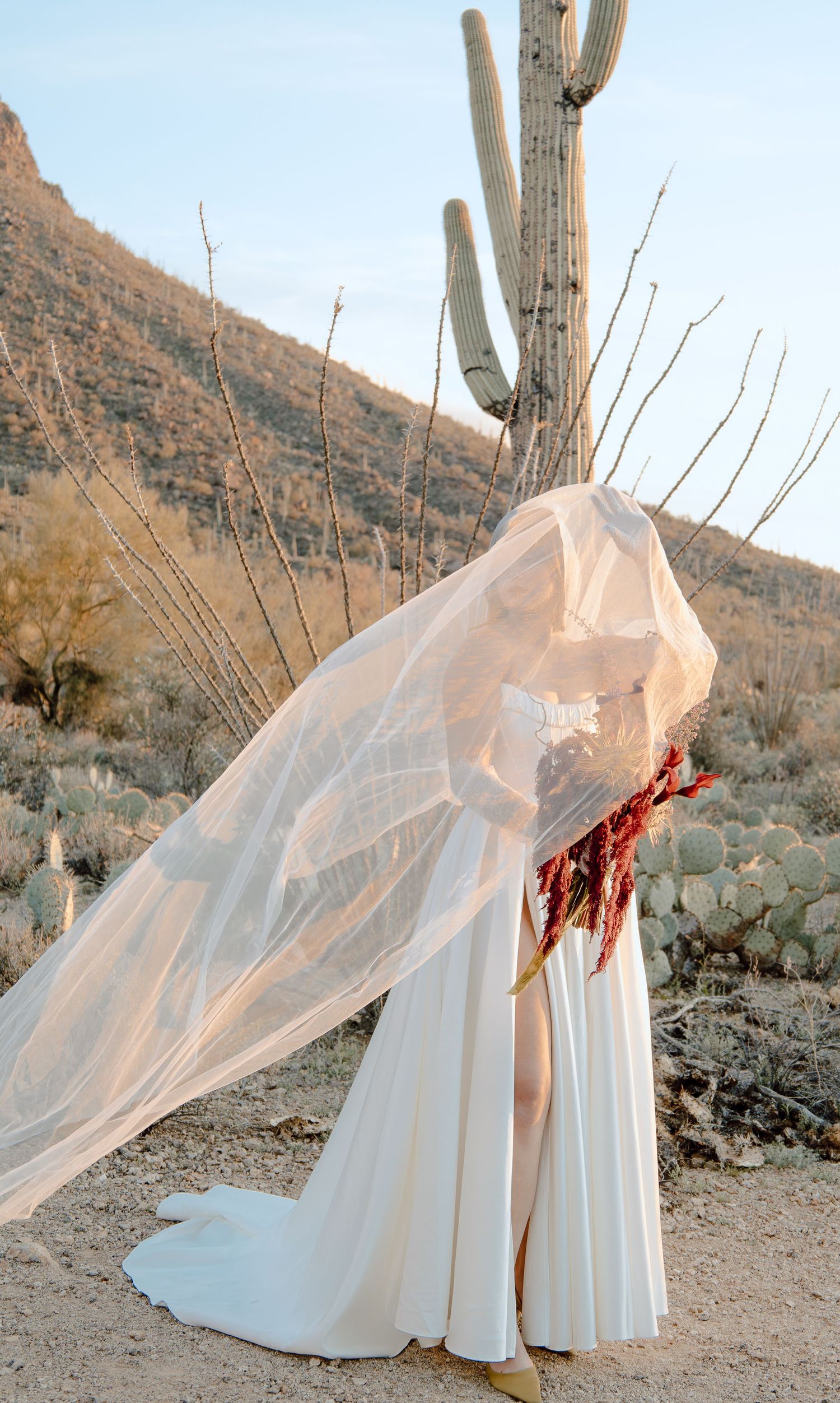 Bride in white gown with flowing veil billowing in desert wind near saguaro cactus and mountains.