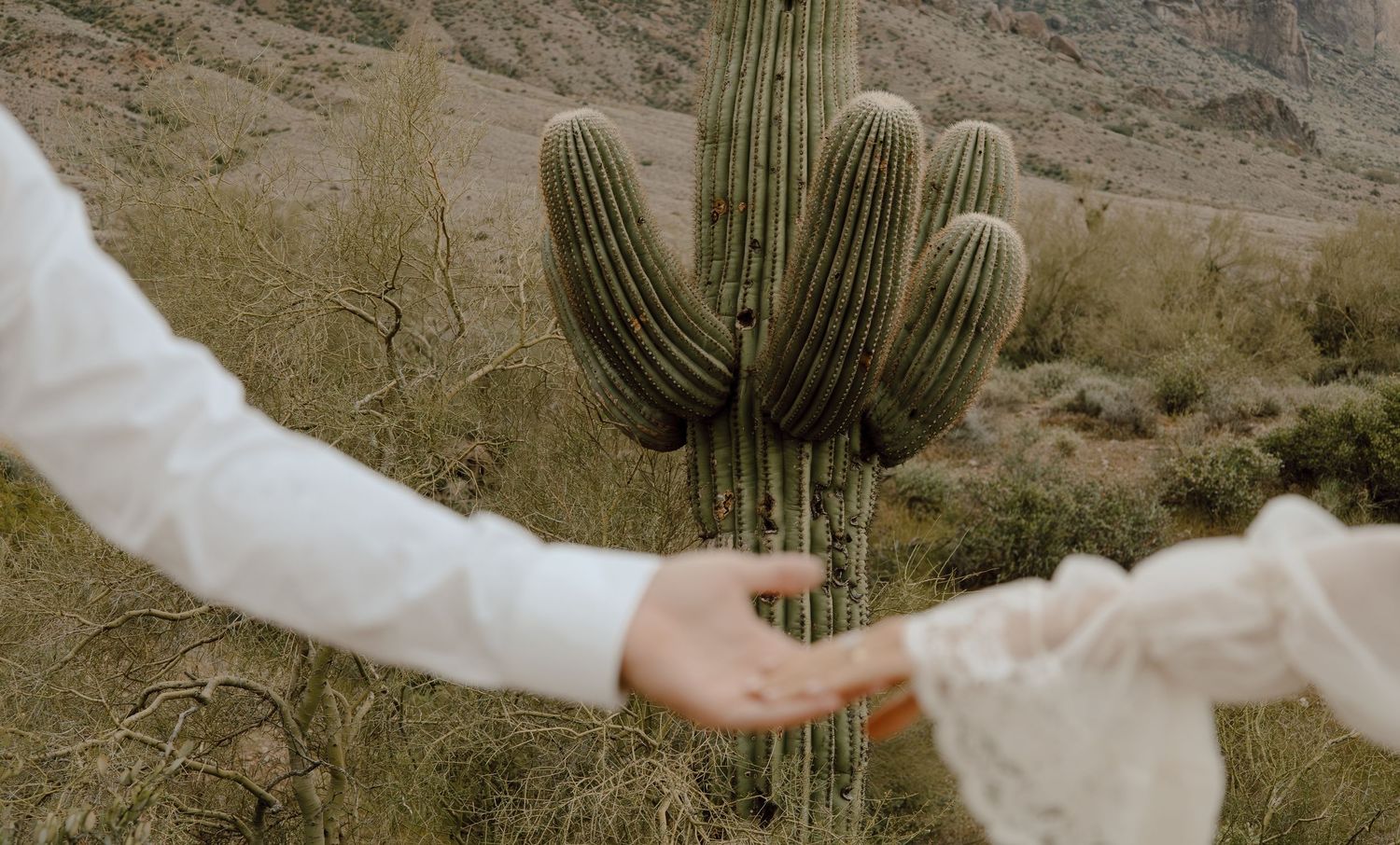 Couple reaches toward each other with a towering saguaro cactus centered between them in the desert.