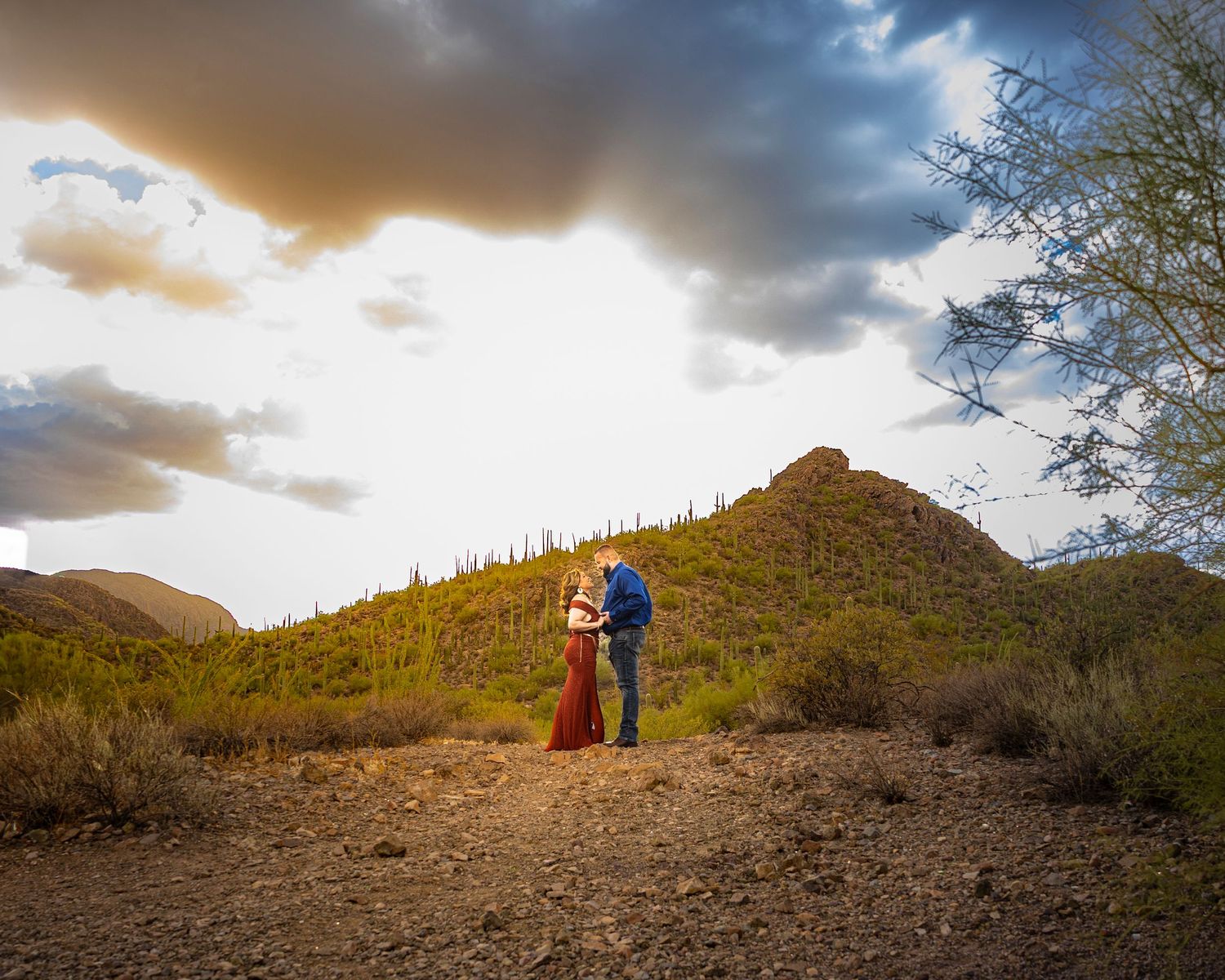 Couples photography session in Tucson Arizona desert capturing intimate connection and authentic love at sunset.