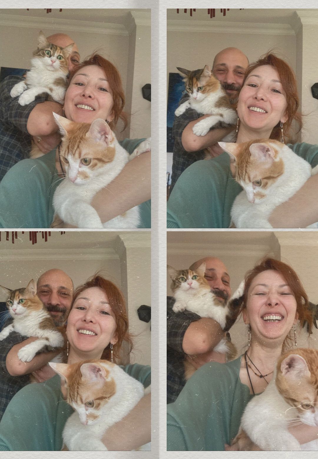 Fun photo booth style collage of Istanbul wedding photographer Nilüfer Nalbantoğlu laughing with her partner and their two beautiful cats.