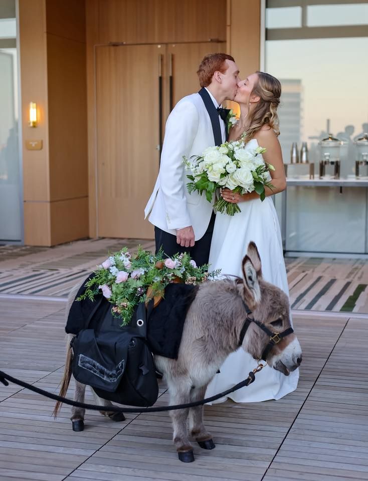 Bride and groom sharing a kiss beside an adorable flower-adorned donkey carrying wedding favors on a rooftop.