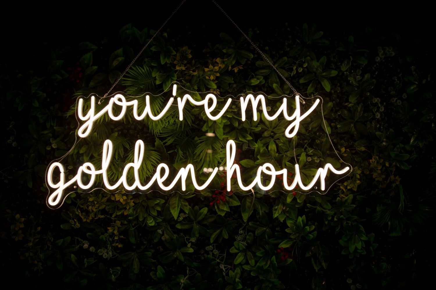 Neon sign reading you're my golden-hour glowing warmly against a dark green hedge backdrop.