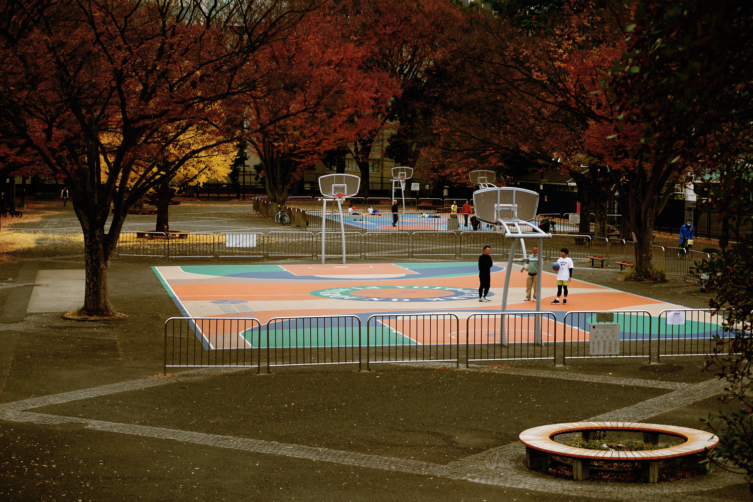A colorful outdoor basketball court surrounded by vibrant red autumn trees in a Japanese park.