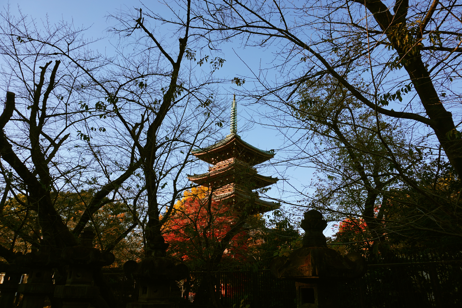 Traditional Japanese five-story pagoda framed by autumn trees and bare branches against blue sky.