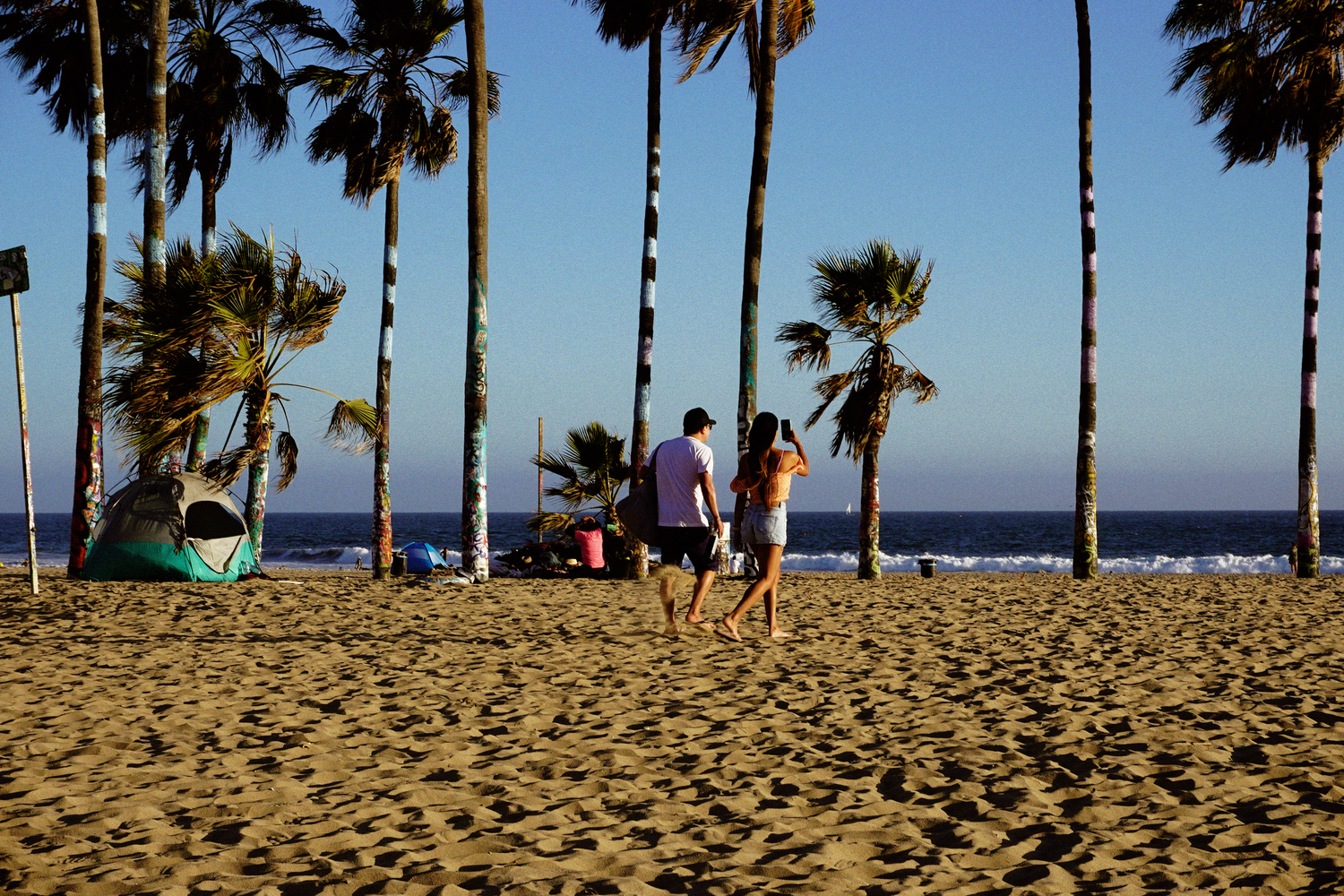 Couple walking hand in hand on a sunny palm-lined beach with golden sand and clear blue skies.