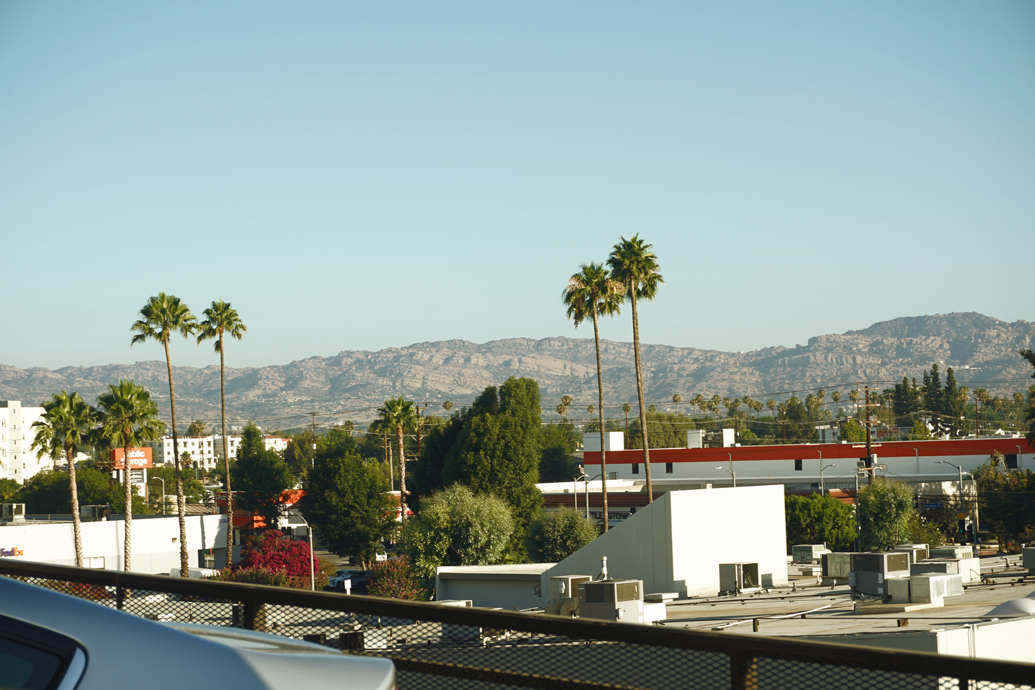Los Angeles suburban rooftop view with tall palm trees, mountains, and clear blue sky in the background.