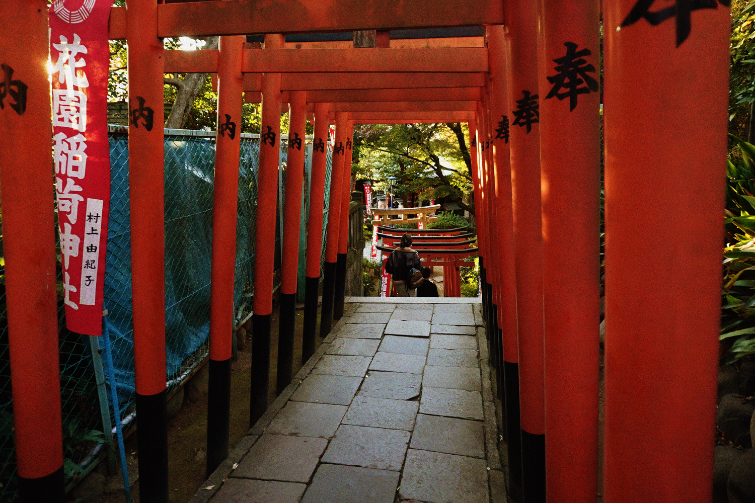 Tunnel of vibrant red torii gates lining stone pathway at Japanese Inari shrine.