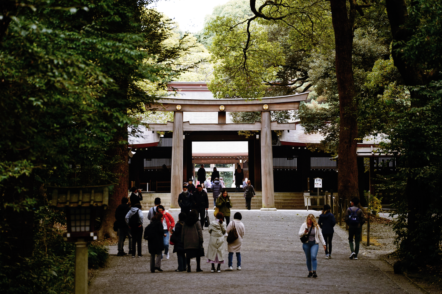 Tourists stroll along a tree-lined gravel path toward a traditional Japanese torii gate at a serene shrine.